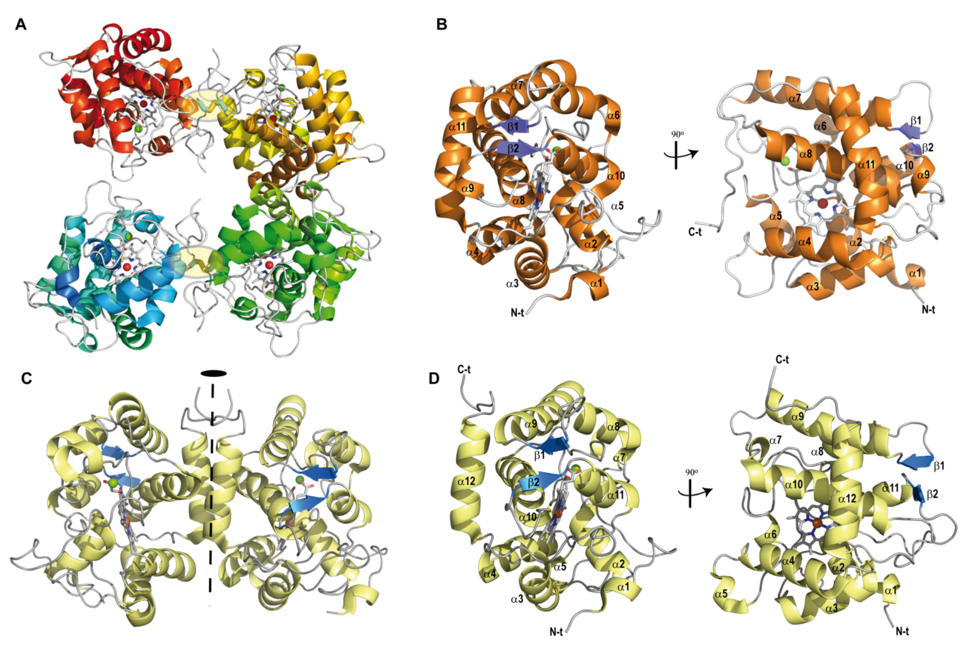 Antioxidants 11 00891 g001
