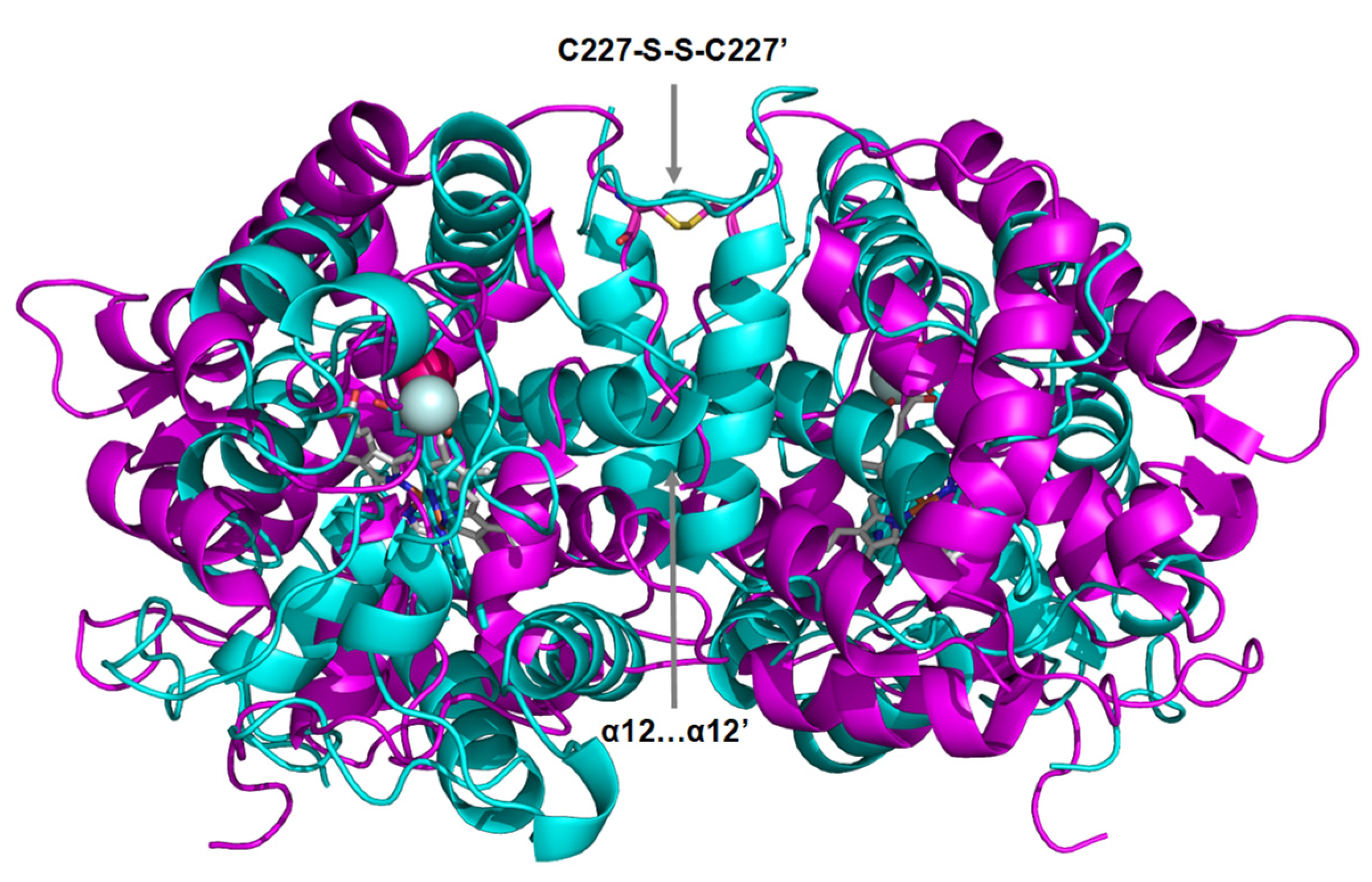 Antioxidants 11 00891 g007