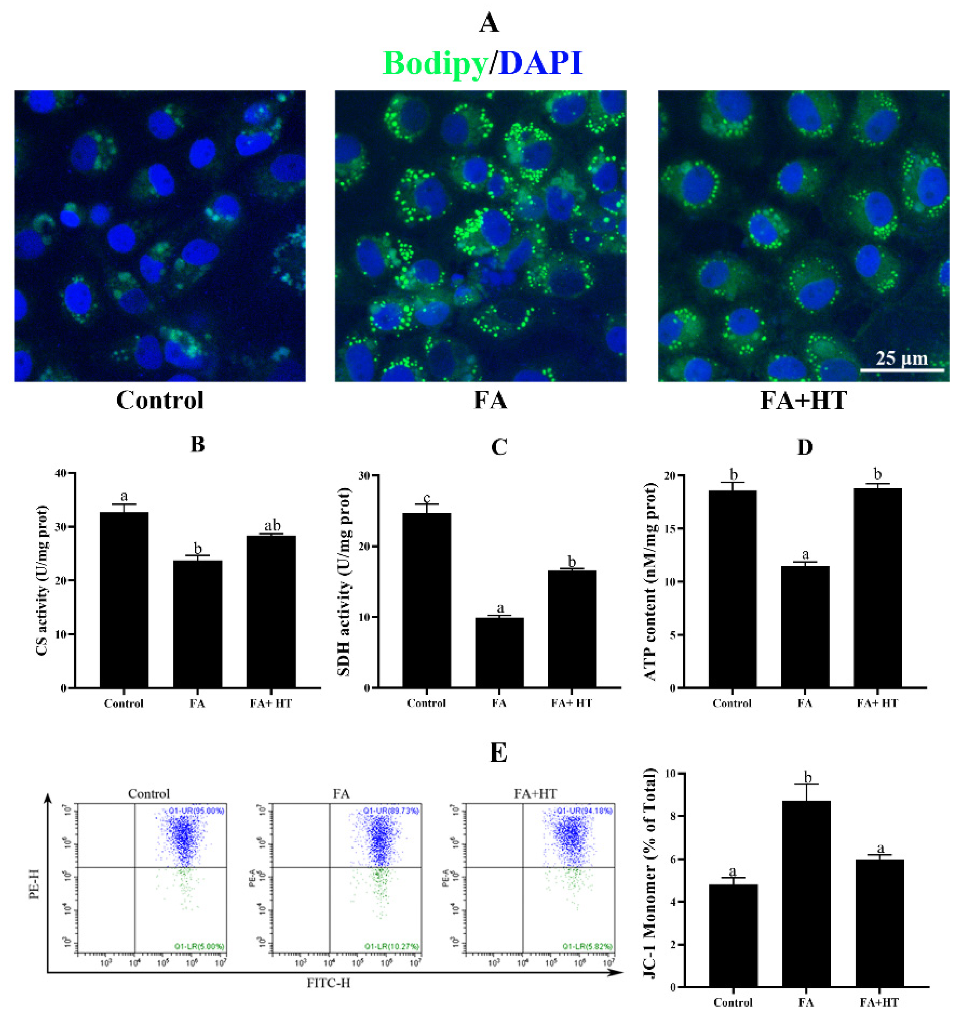 Antioxidants 11 00893 g006