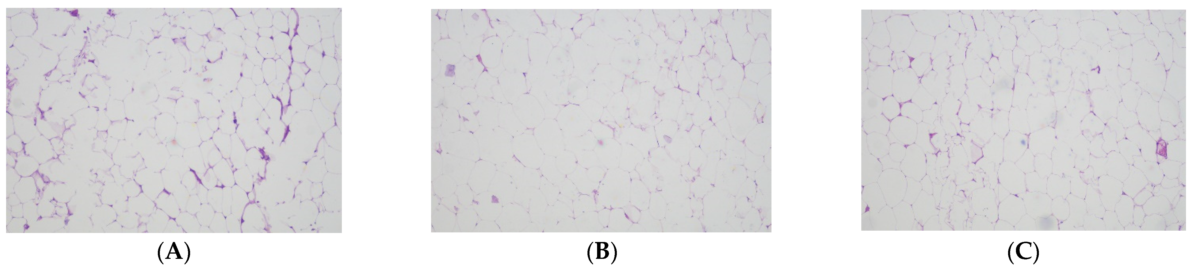 Antioxidants 11 00895 g001