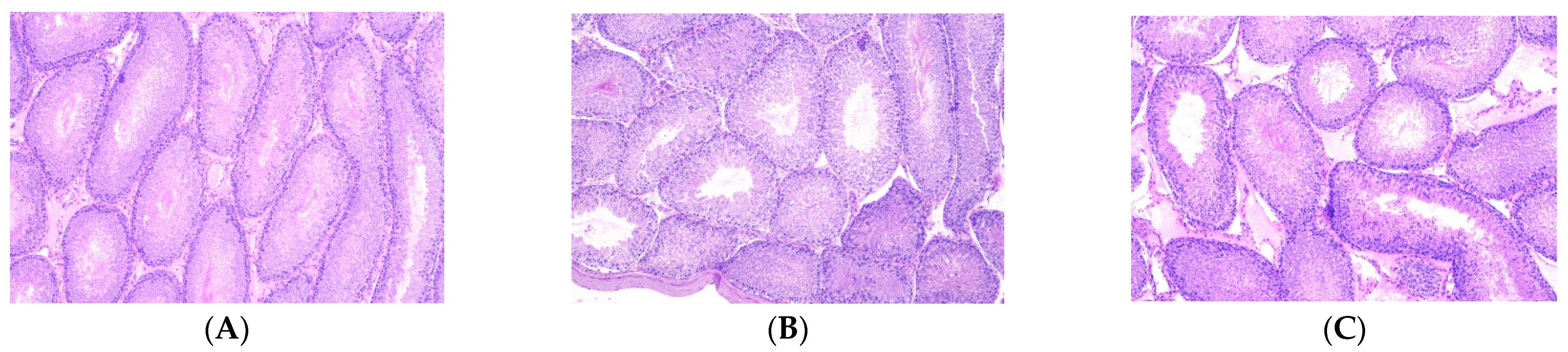 Antioxidants 11 00895 g002