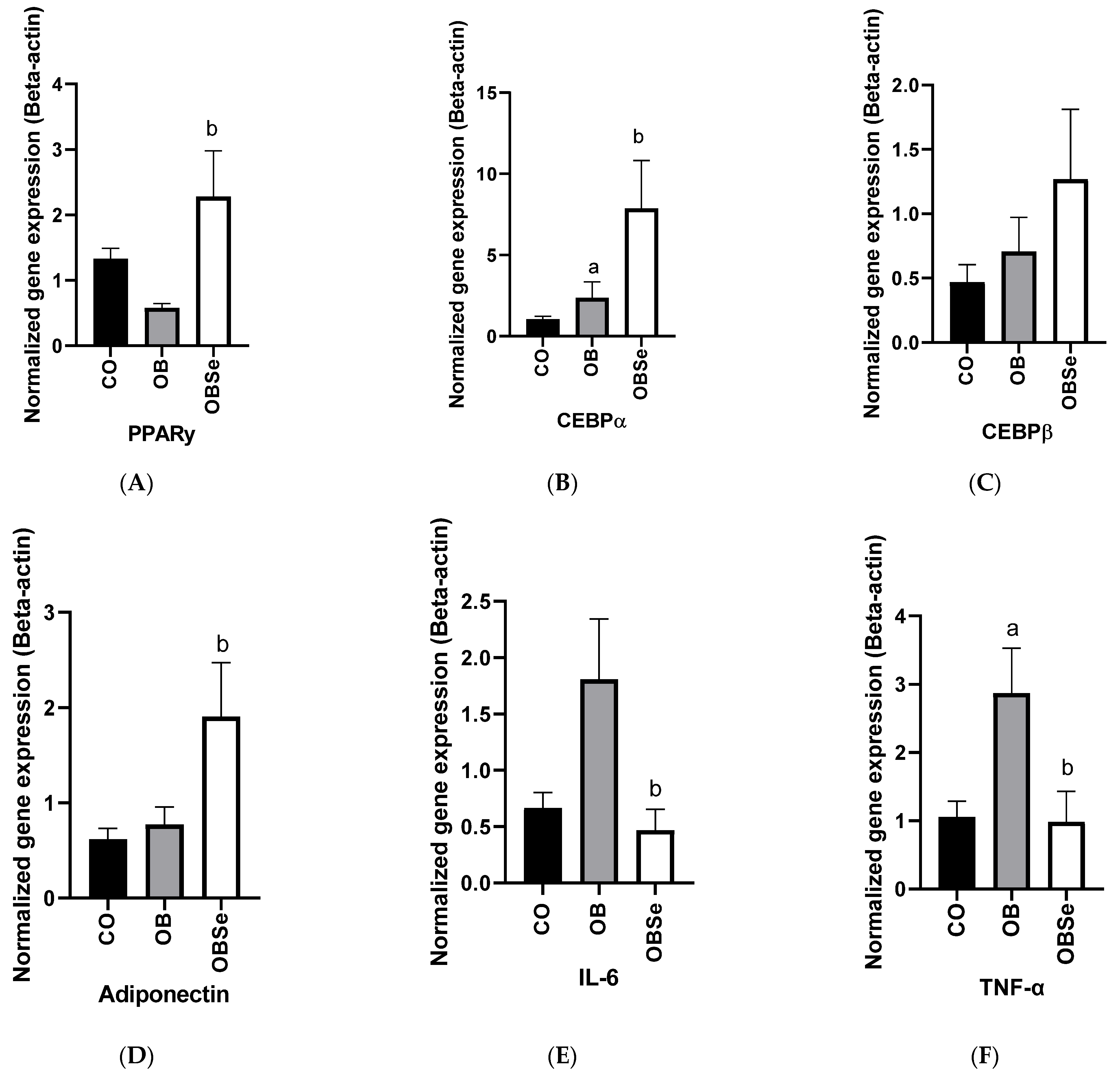 Antioxidants 11 00895 g005a
