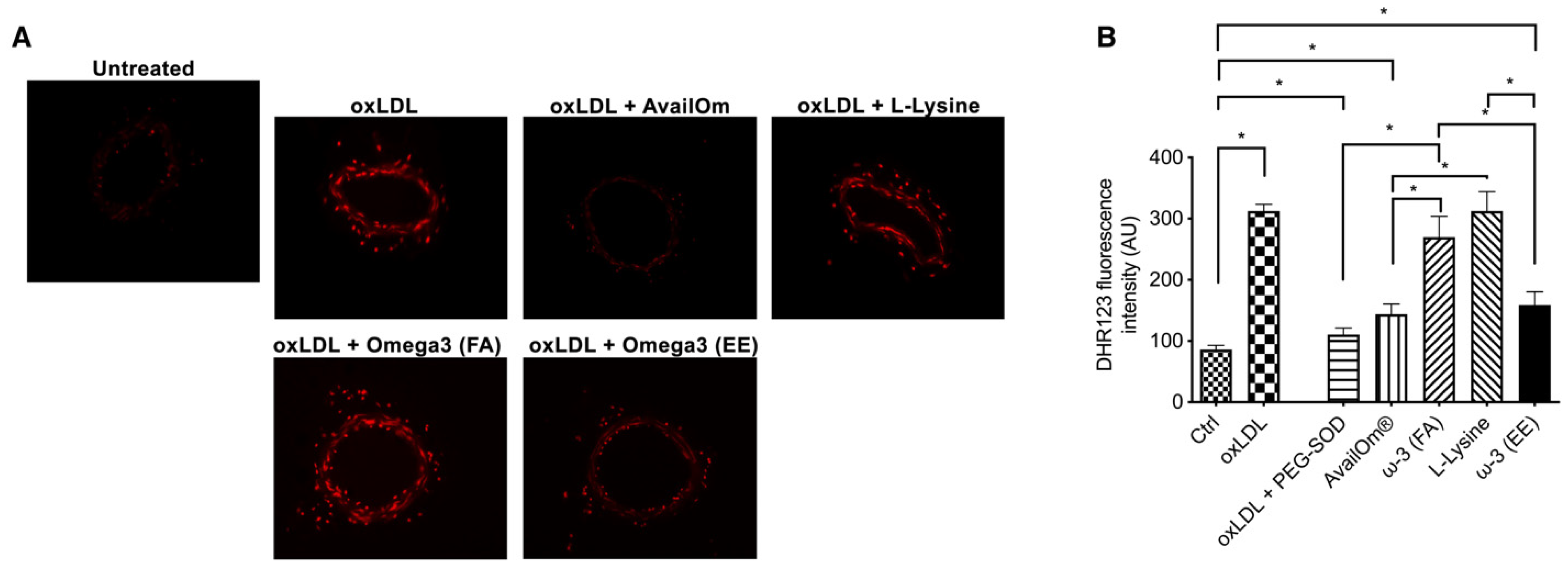 Antioxidants 11 00896 g003