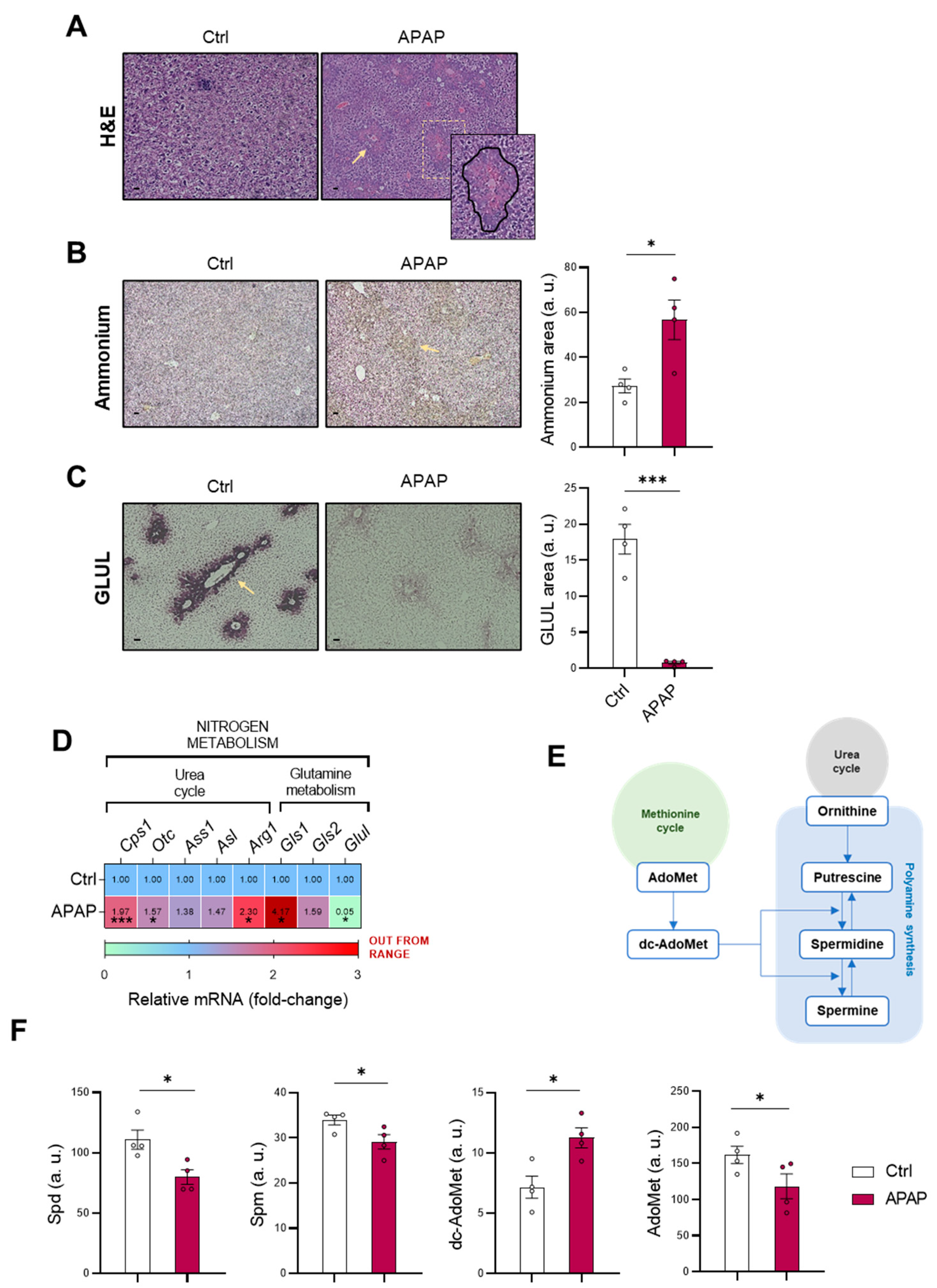 Antioxidants 11 00897 g001 550