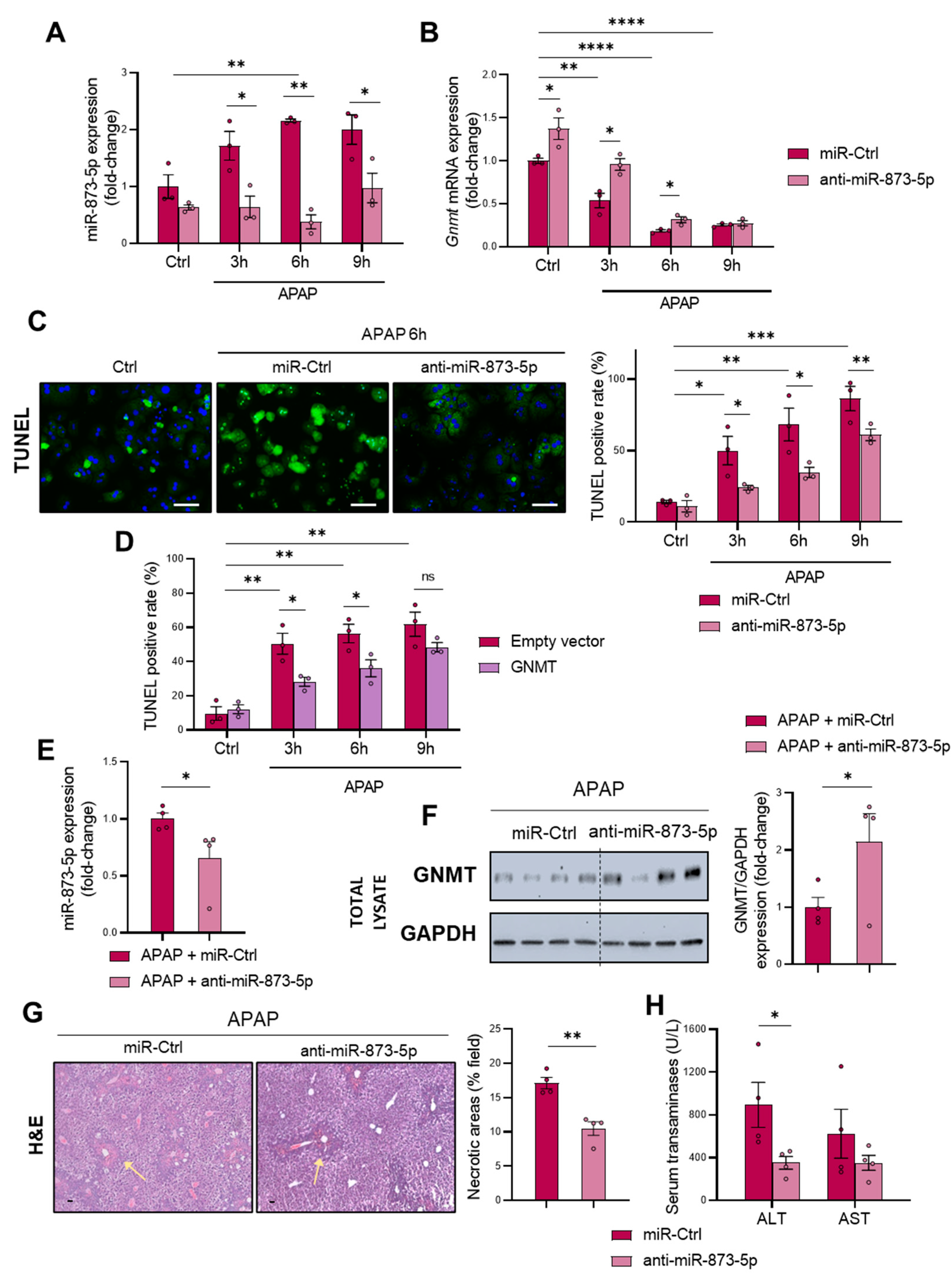 Antioxidants 11 00897 g003 550