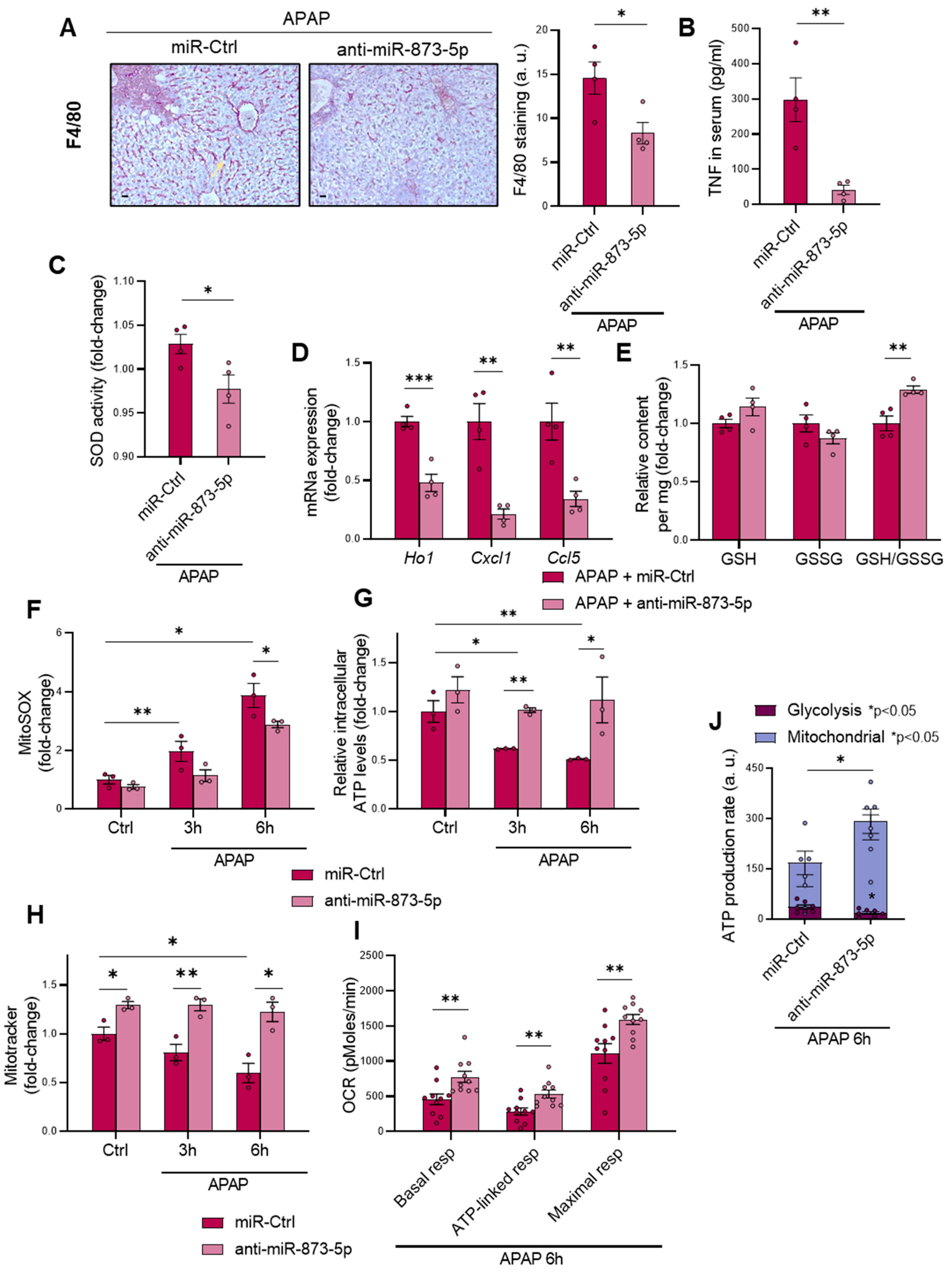Antioxidants 11 00897 g004 550