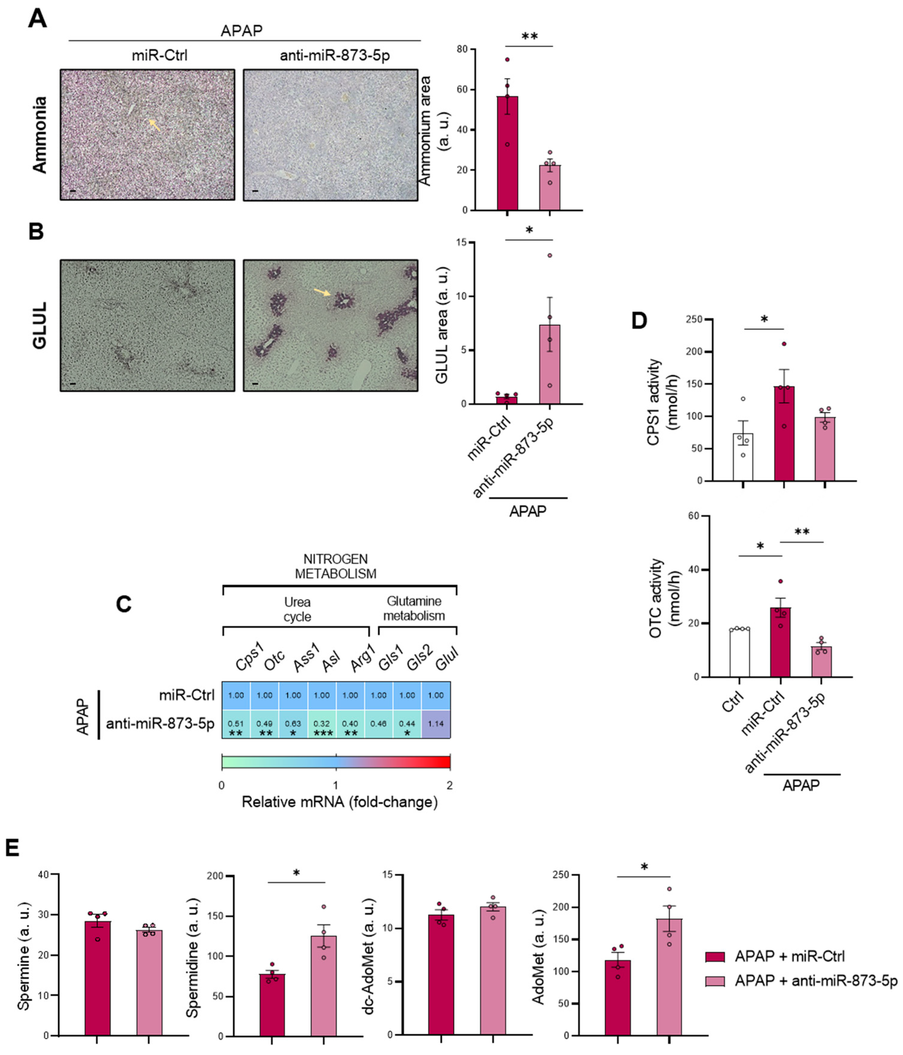 Antioxidants 11 00897 g005 550