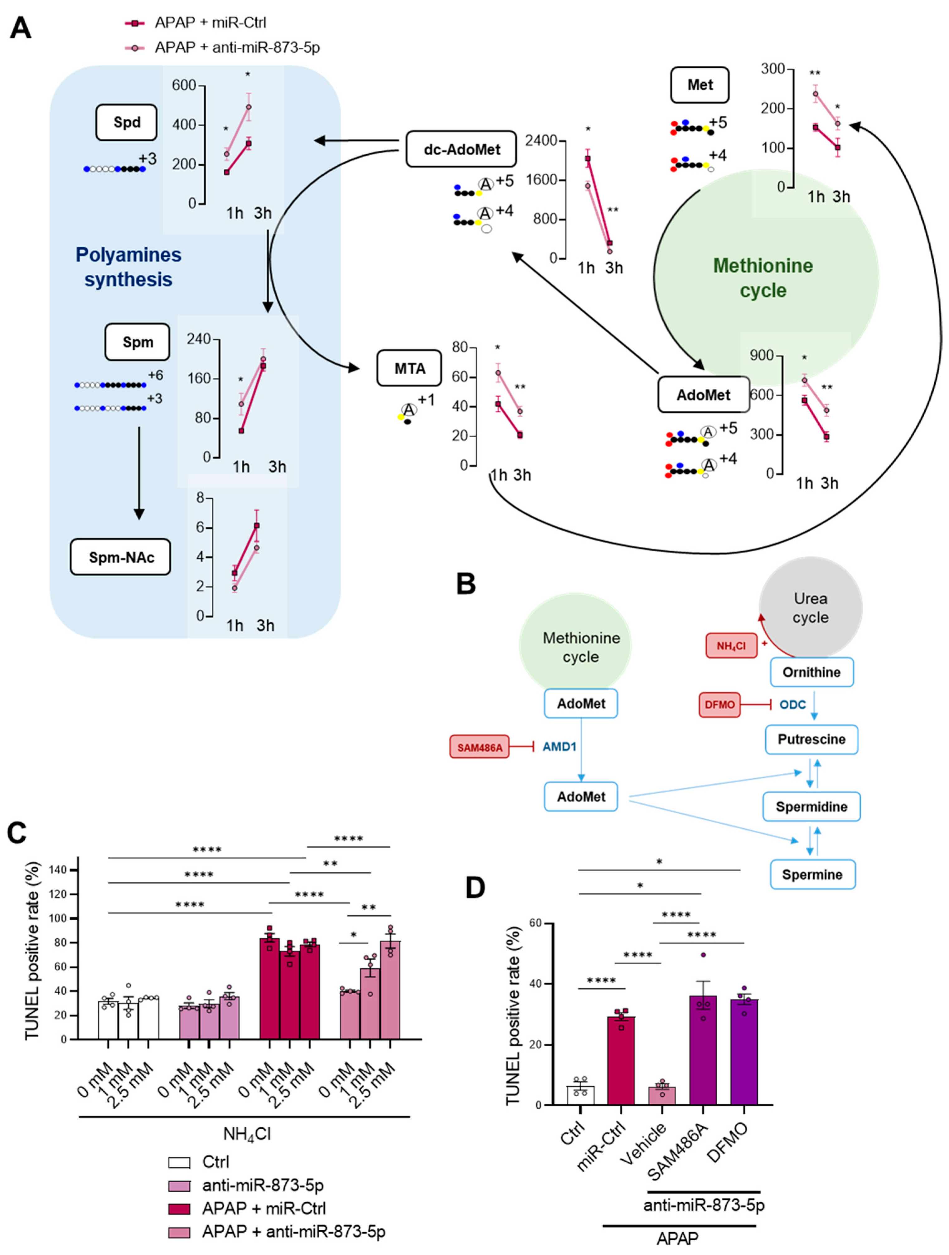 Antioxidants 11 00897 g006 550