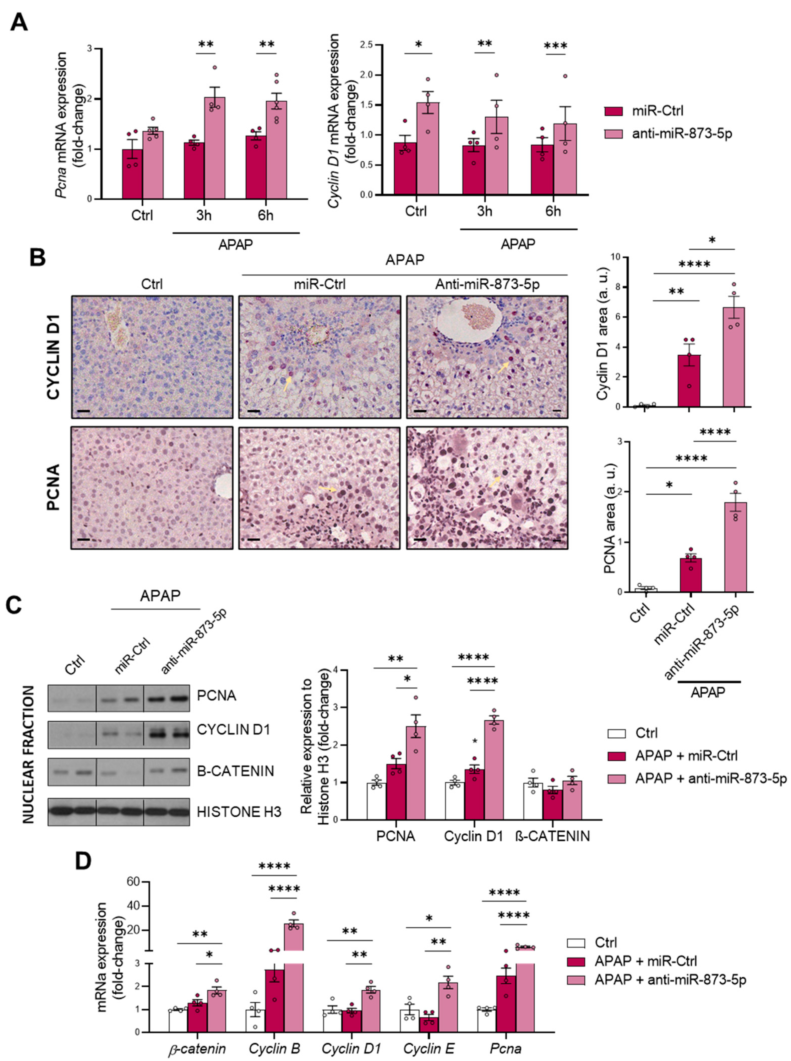 Antioxidants 11 00897 g007 550