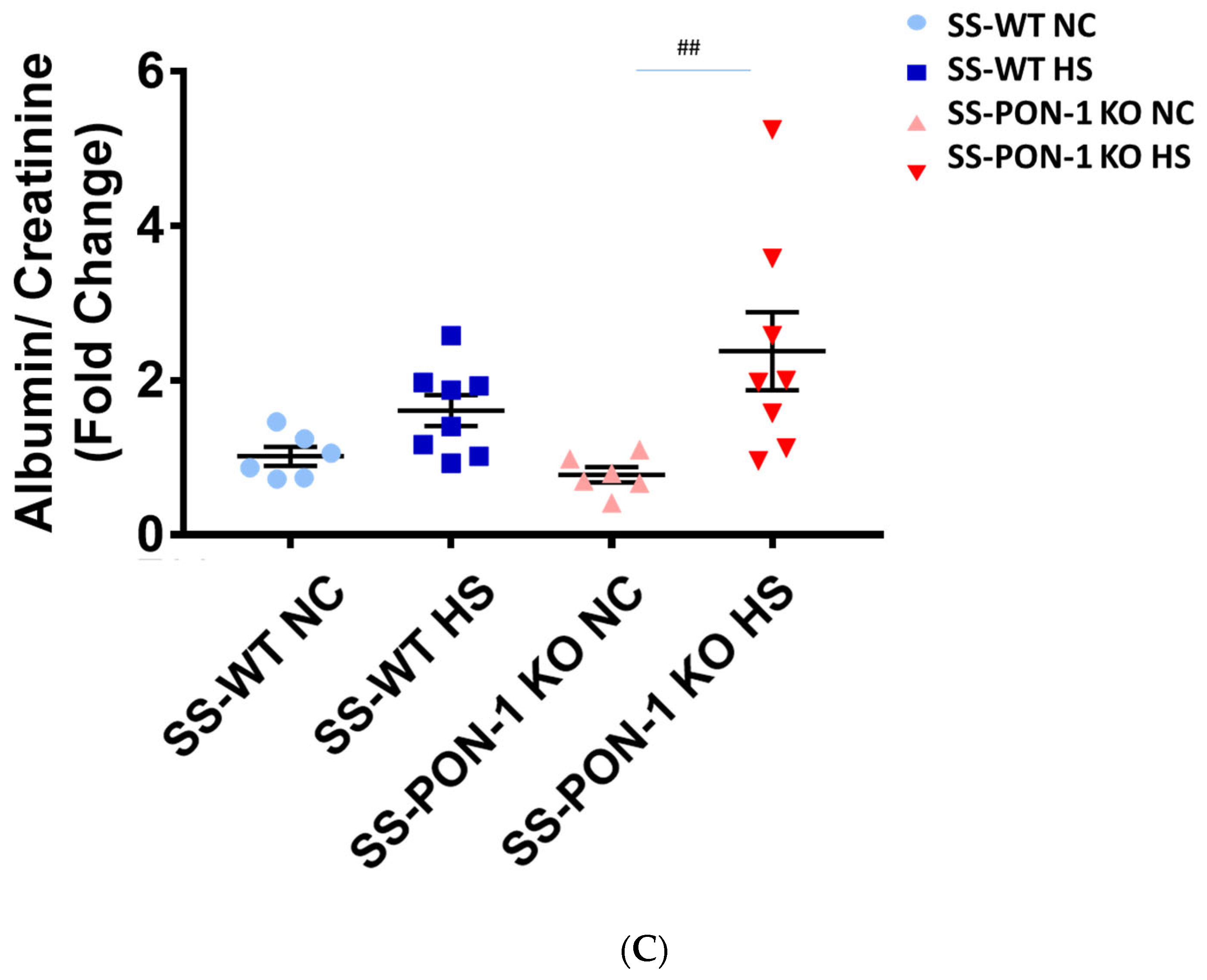 Antioxidants 11 00900 g005b