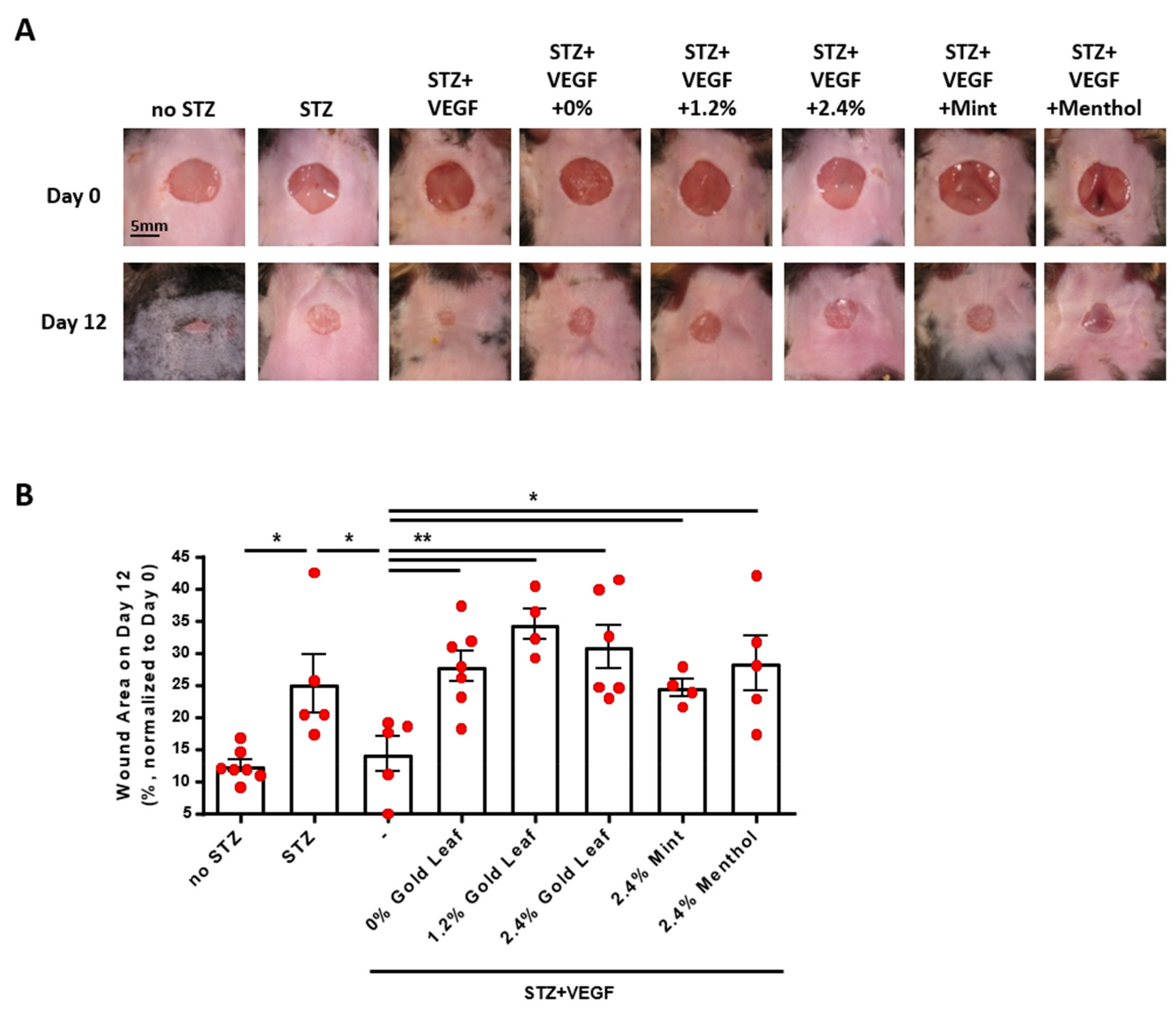 Antioxidants 11 00904 g005 550