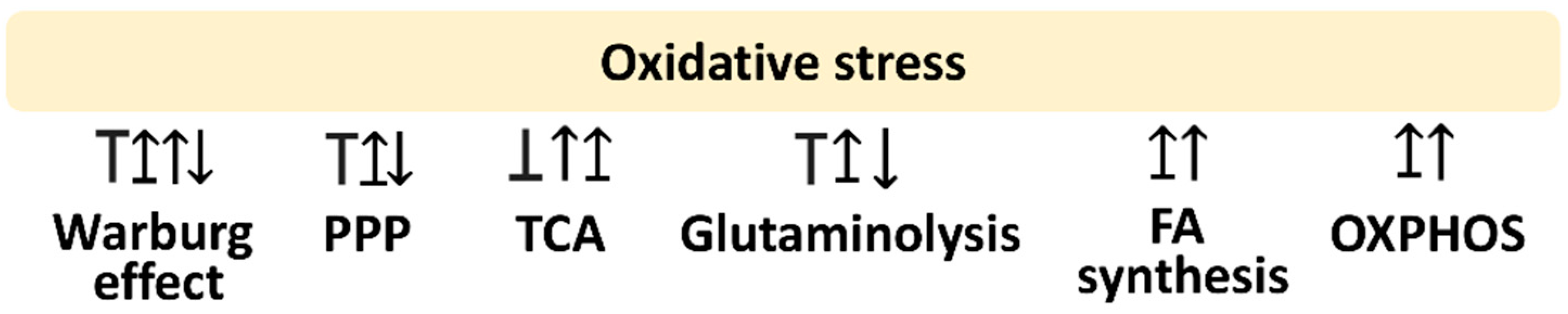 Antioxidants 11 00911 g001