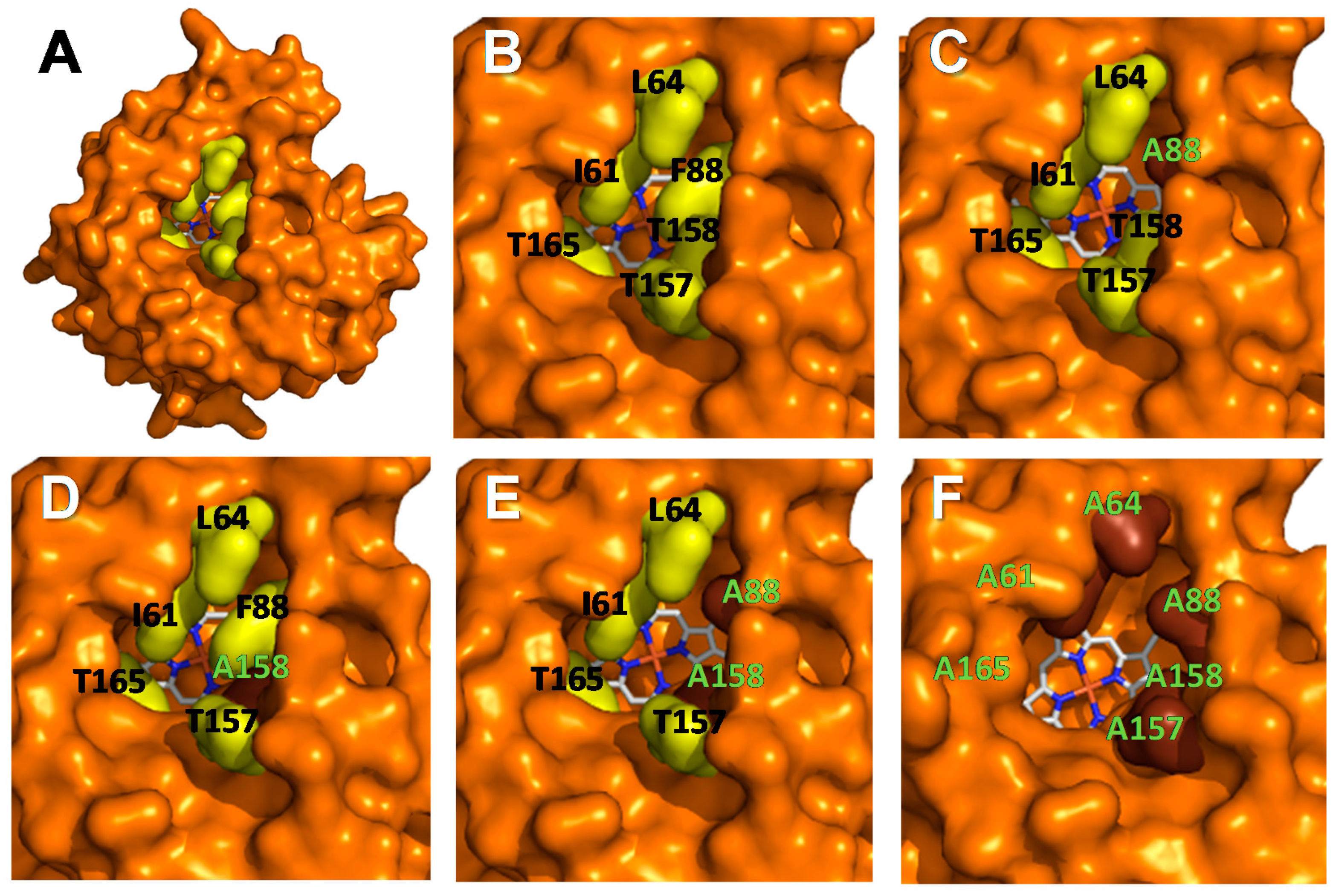 Antioxidants 11 00915 g002
