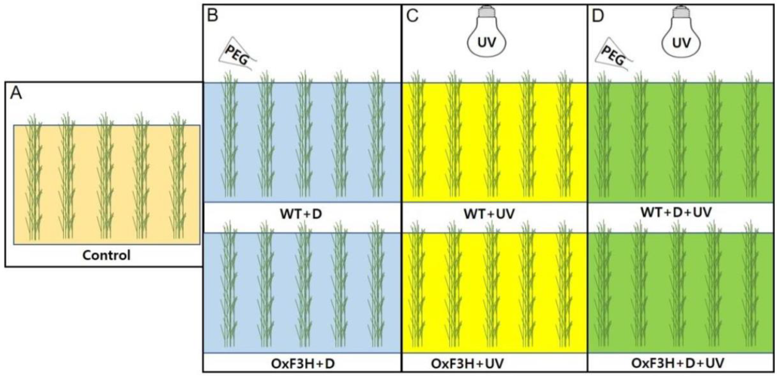 Antioxidants 11 00917 g001