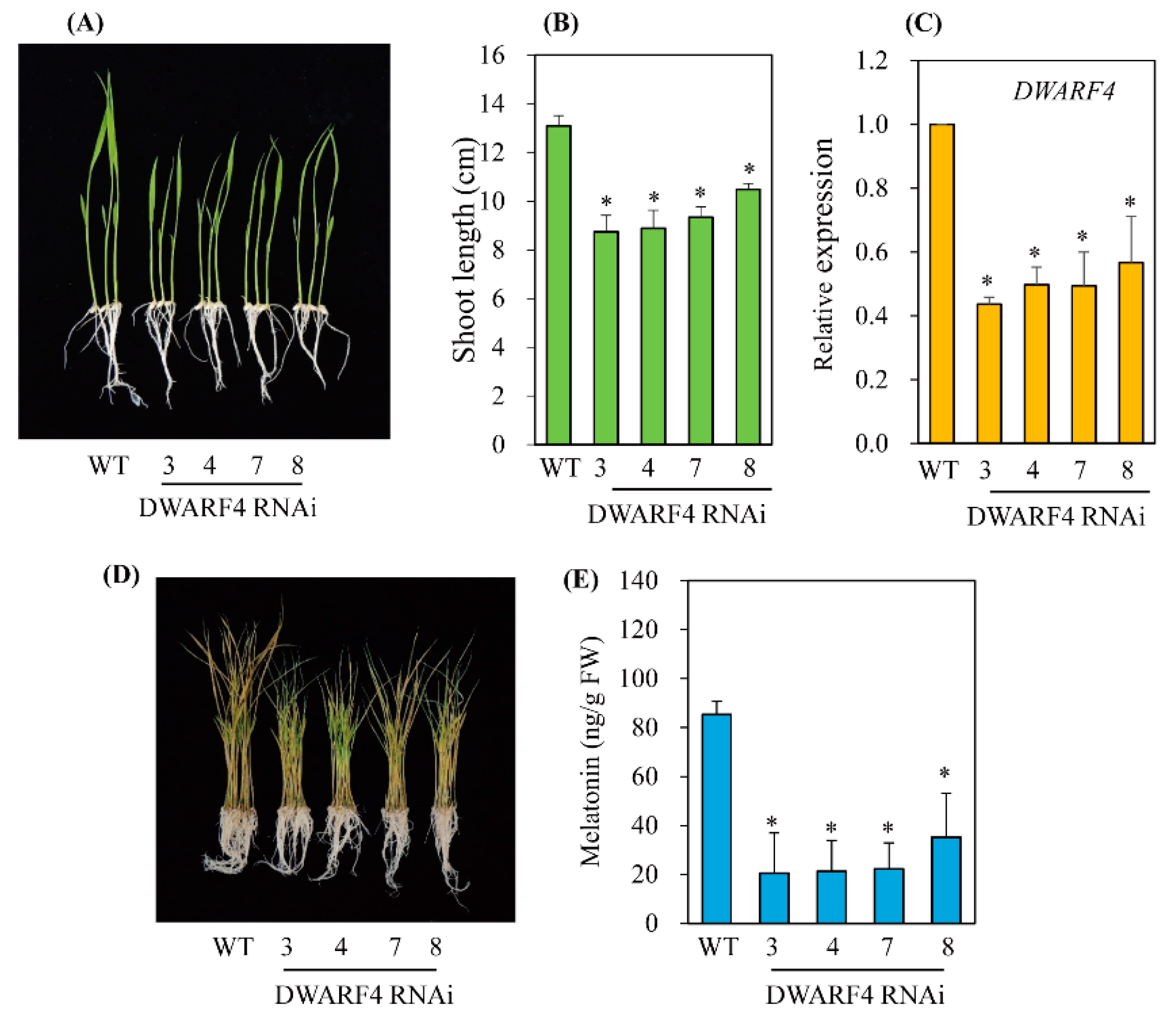 Antioxidants 11 00918 g004 550