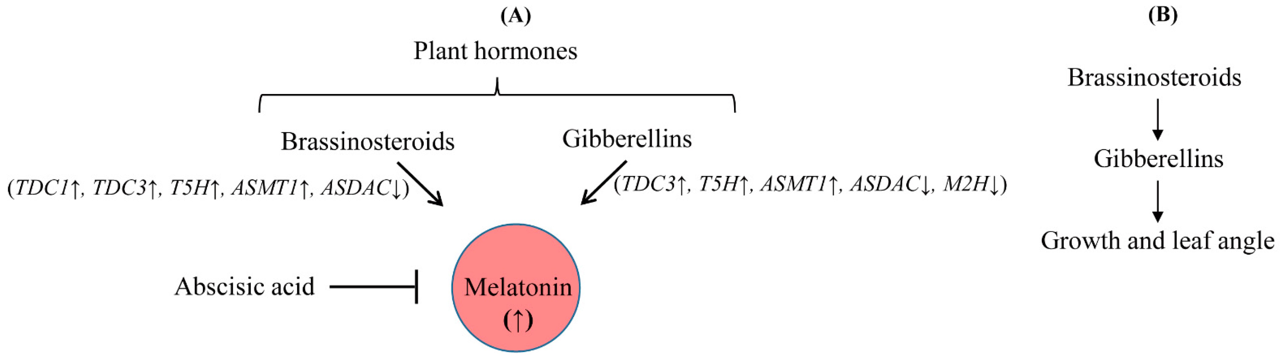 Antioxidants 11 00918 g009 550