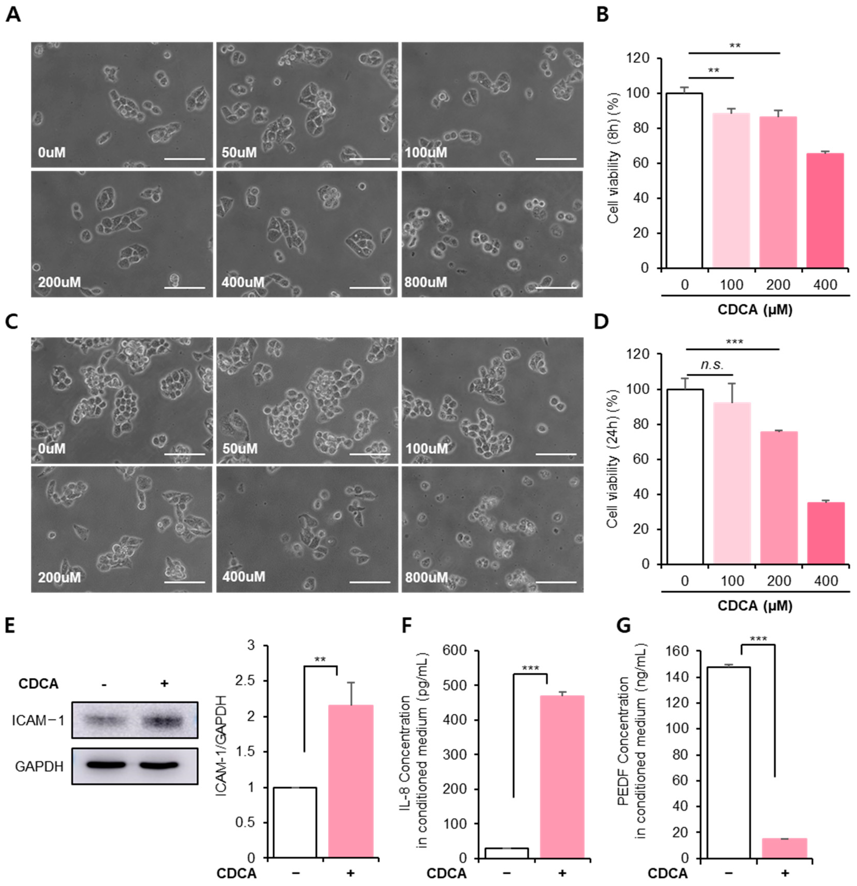 Antioxidants 11 00920 g001