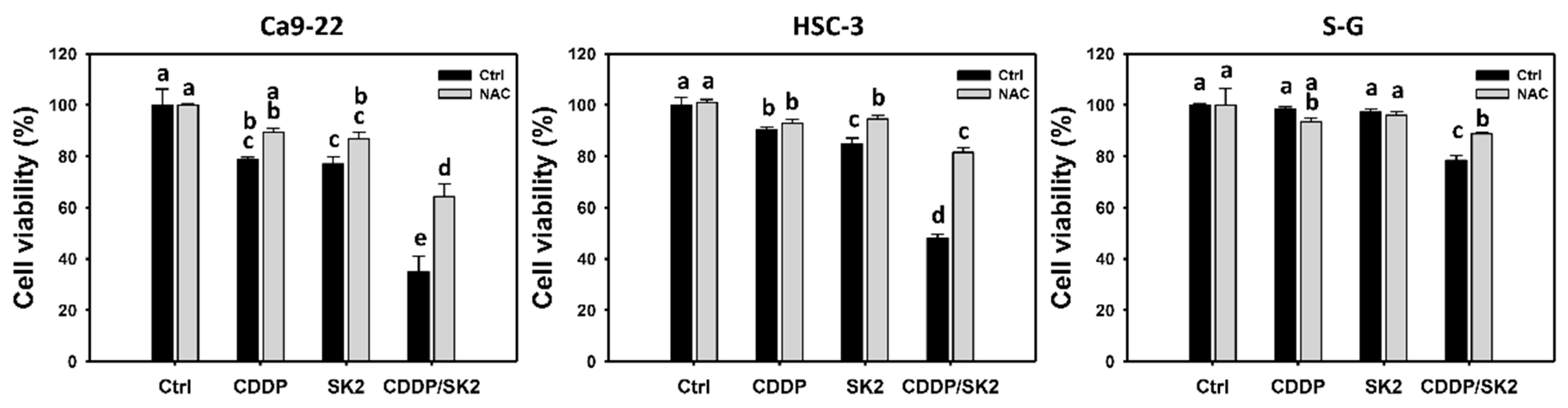 Antioxidants 11 00926 g001