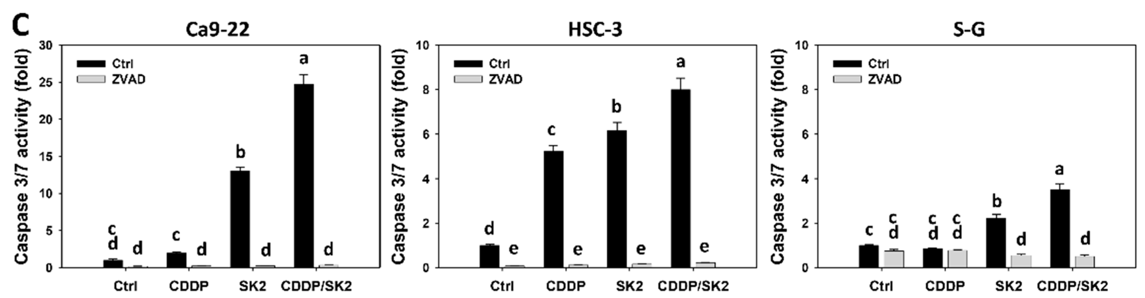 Antioxidants 11 00926 g004b