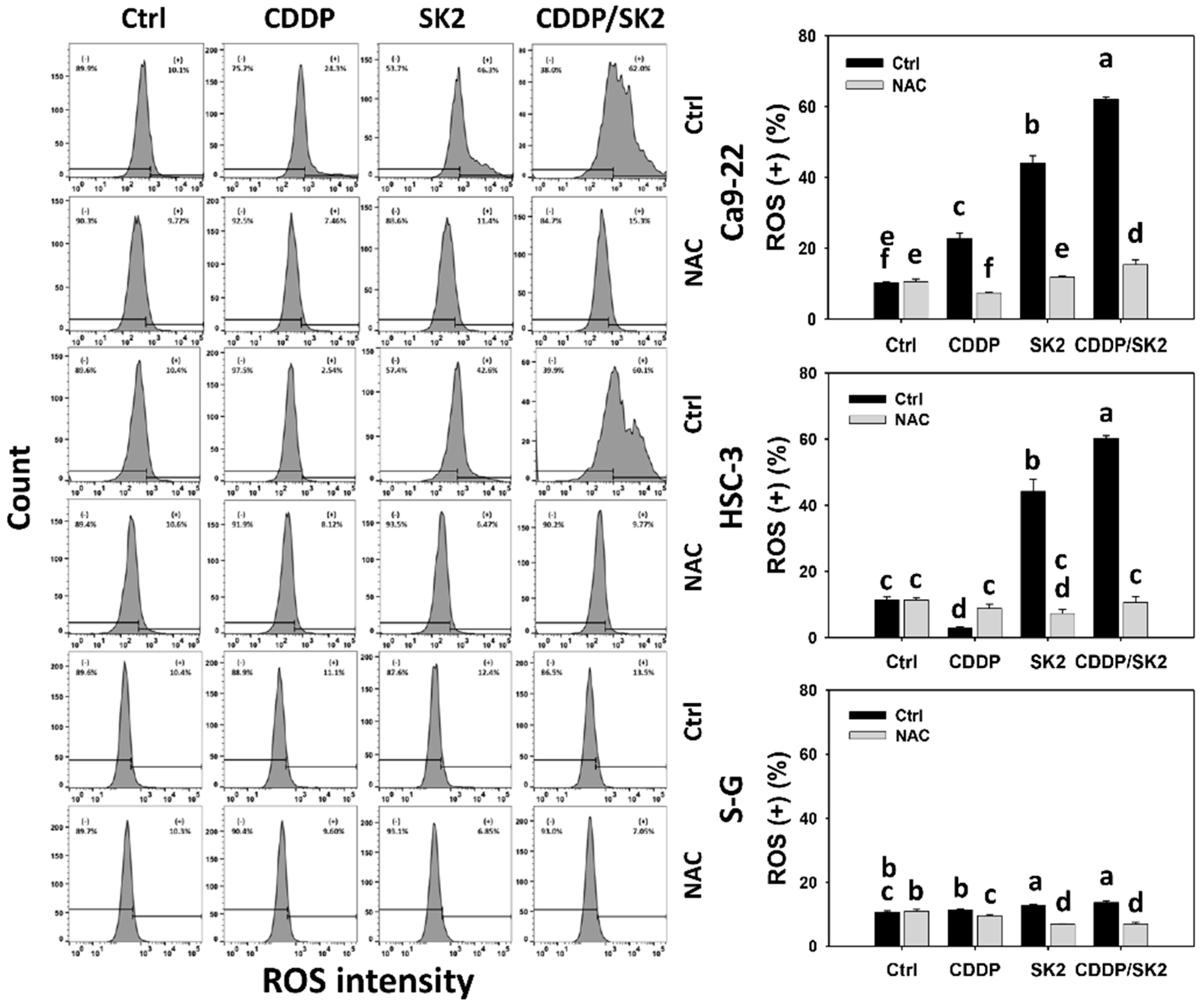 Antioxidants 11 00926 g006
