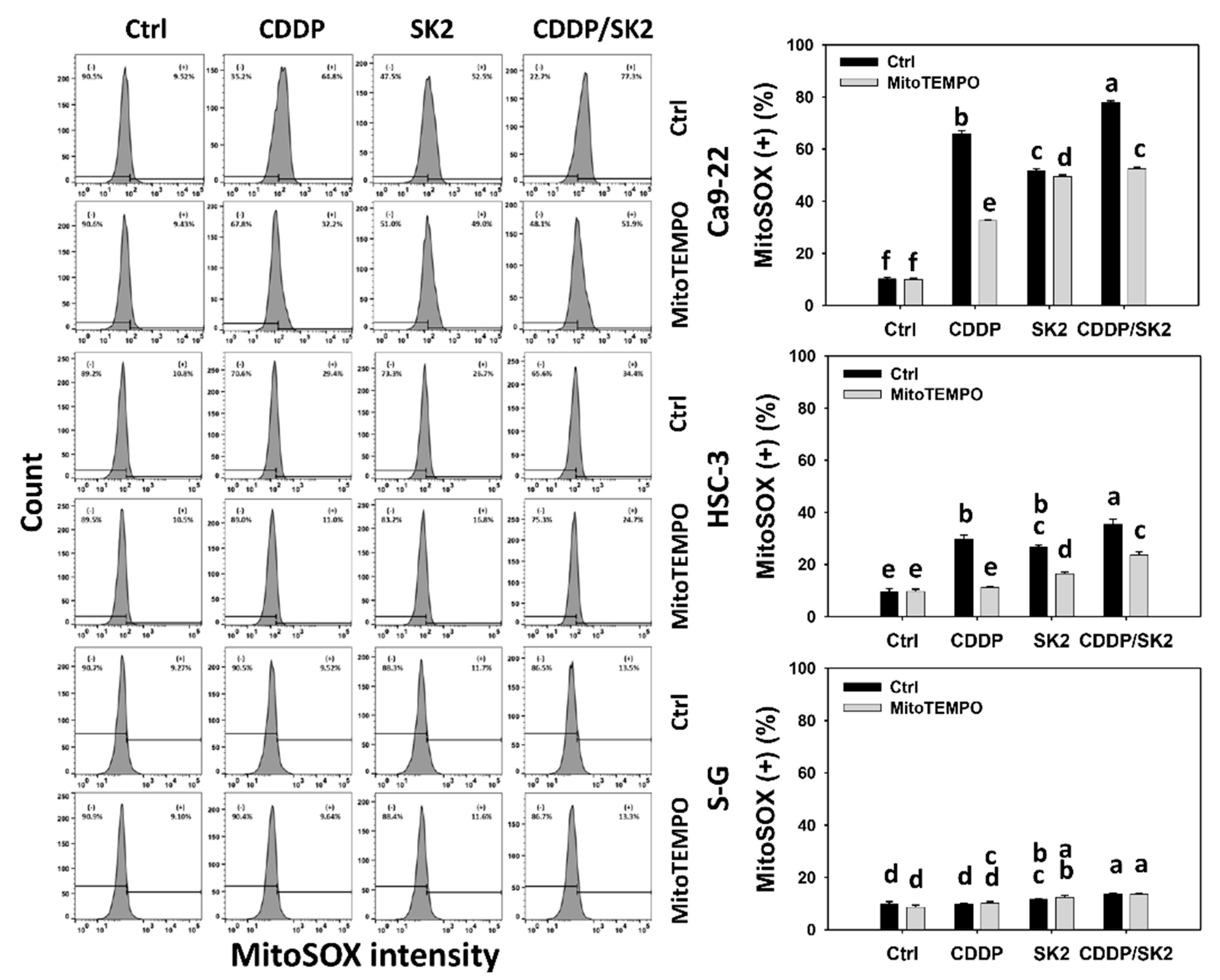 Antioxidants 11 00926 g007