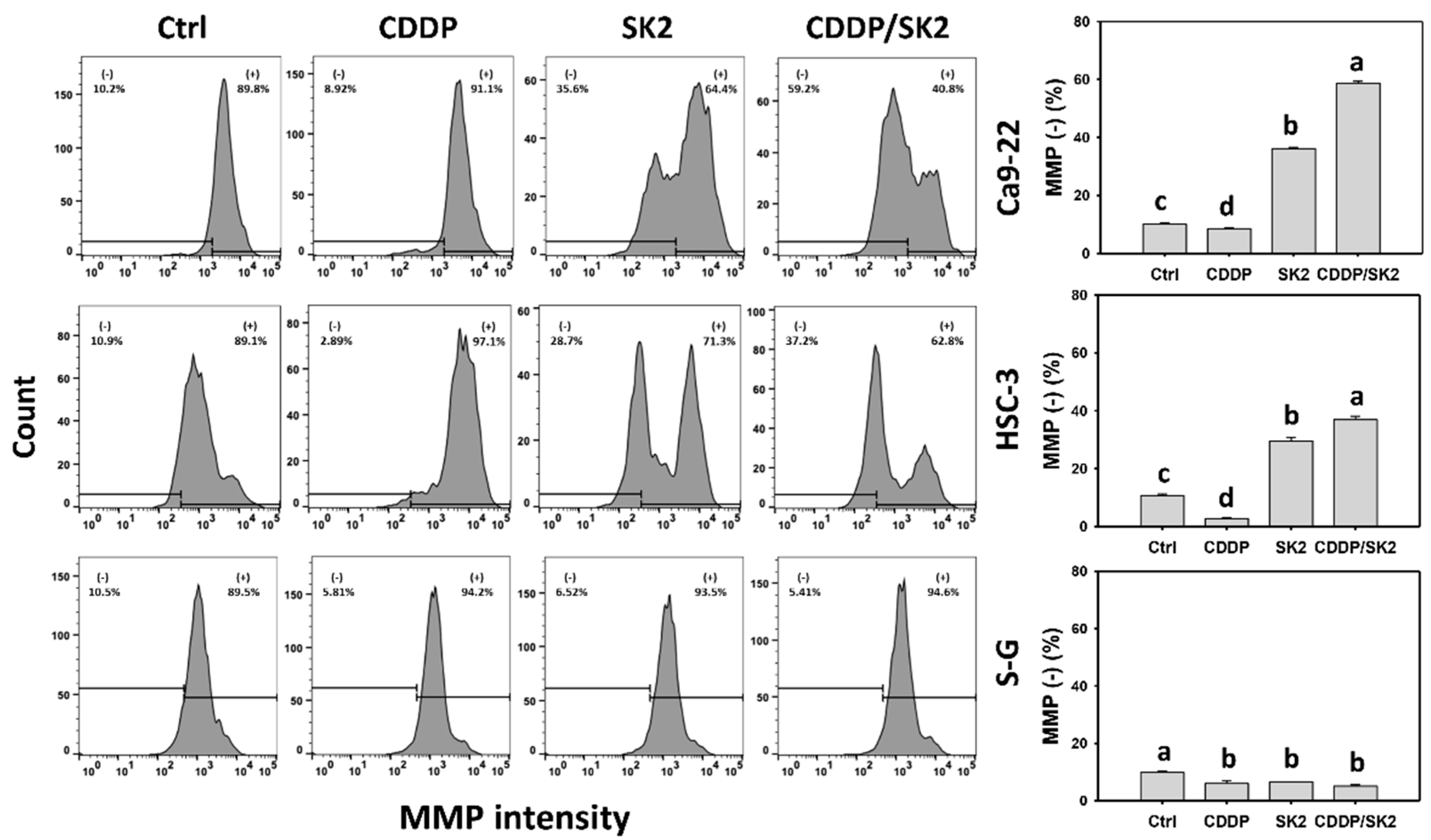 Antioxidants 11 00926 g008