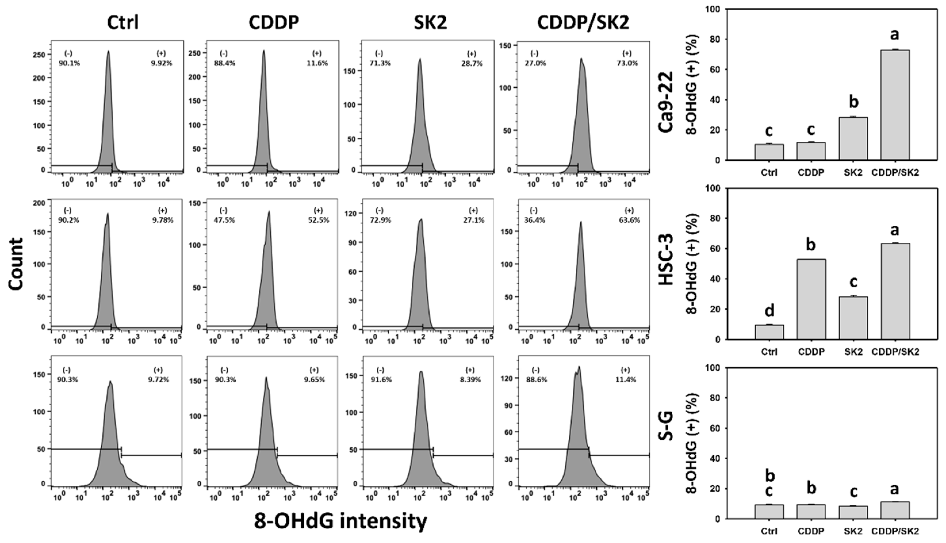 Antioxidants 11 00926 g010