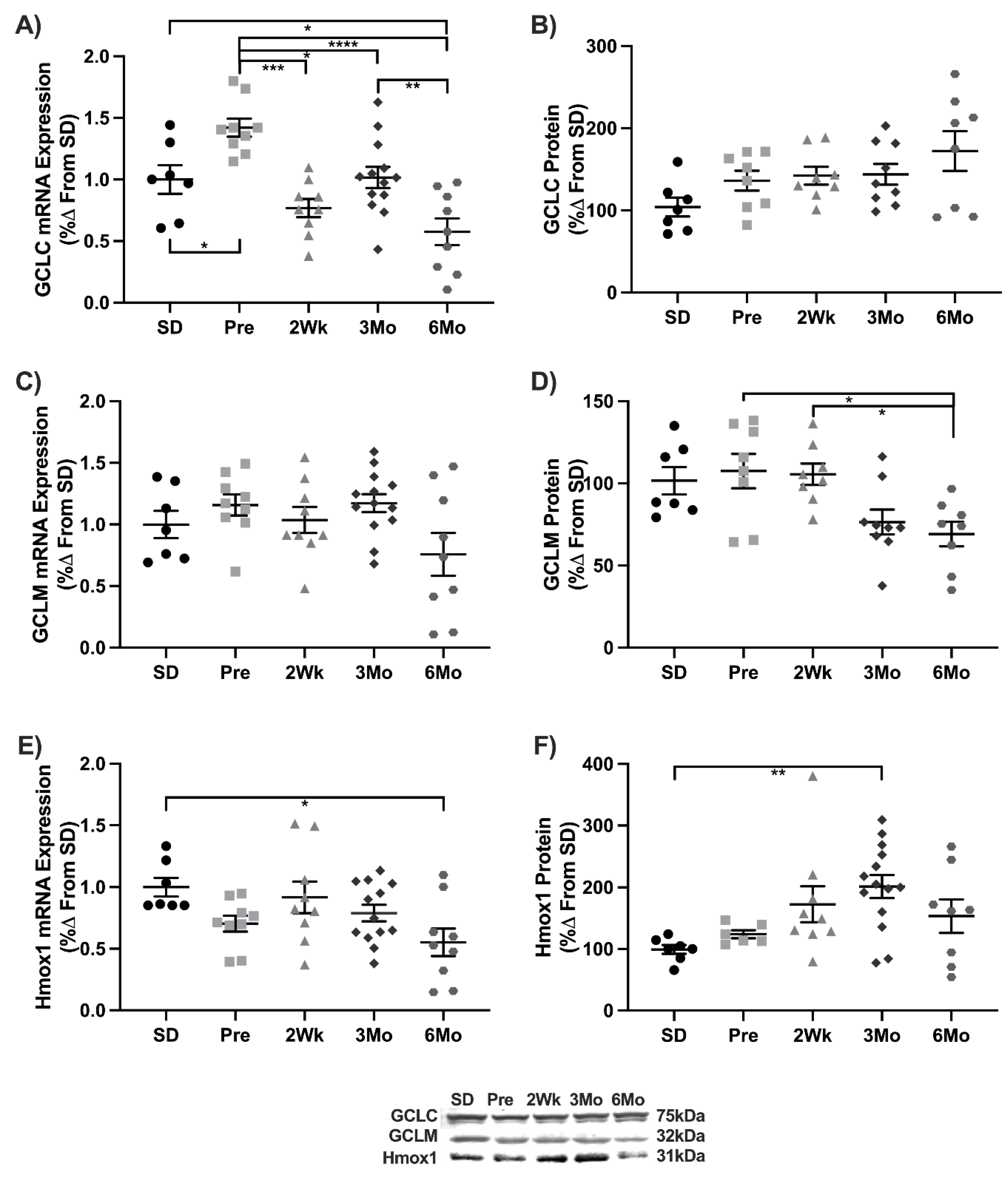Antioxidants 11 00927 g004