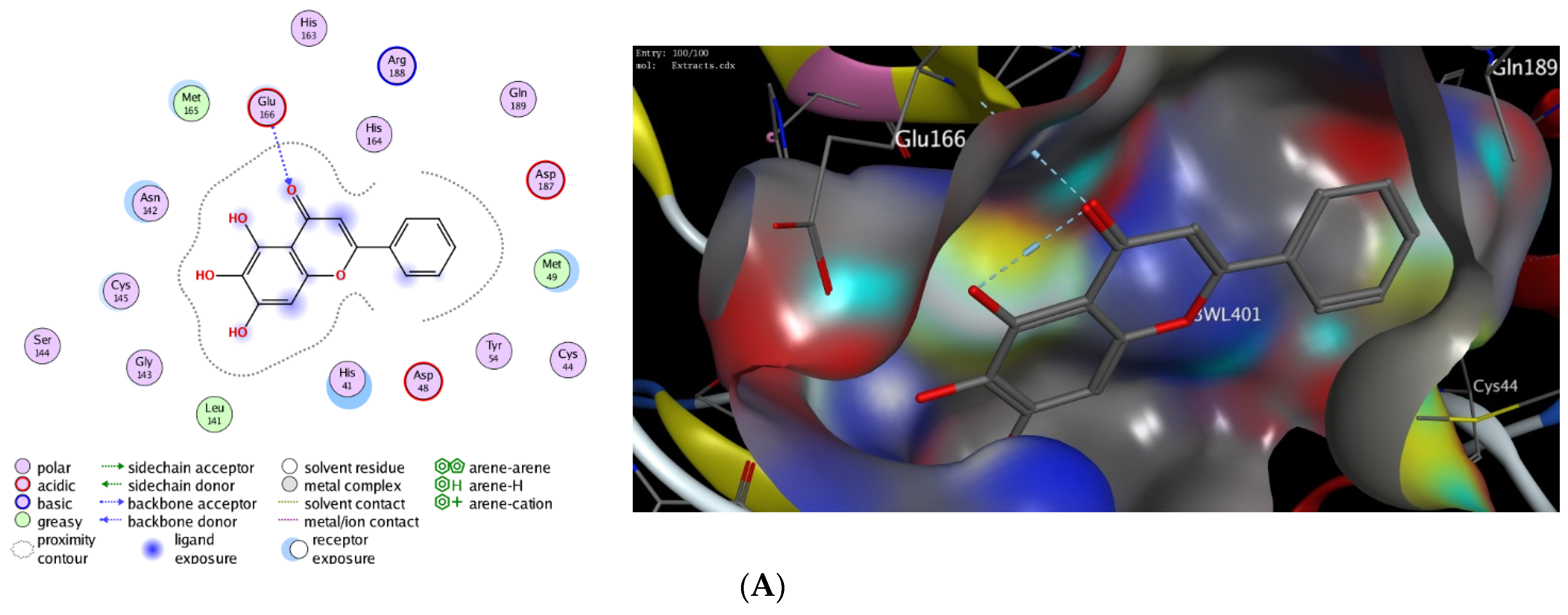 Antioxidants 11 00930 g002a Antioxidants 11 00930 g002a