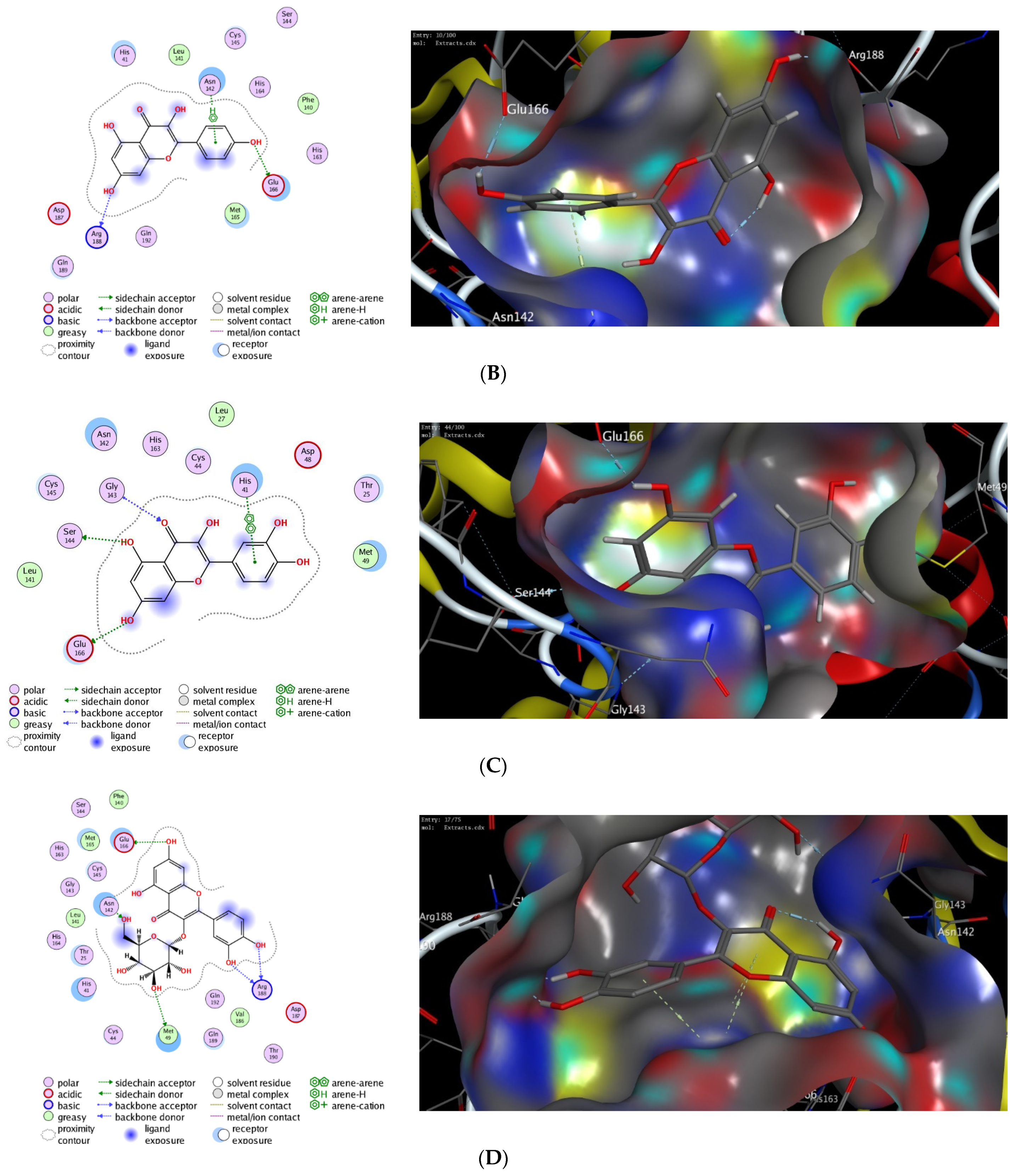 Antioxidants 11 00930 g002b Antioxidants 11 00930 g002b