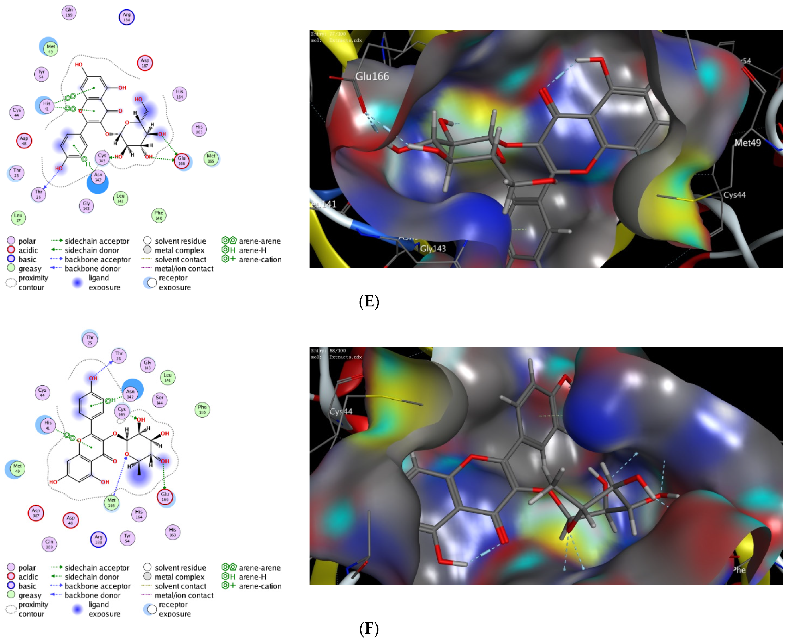 Antioxidants 11 00930 g002c Antioxidants 11 00930 g002c