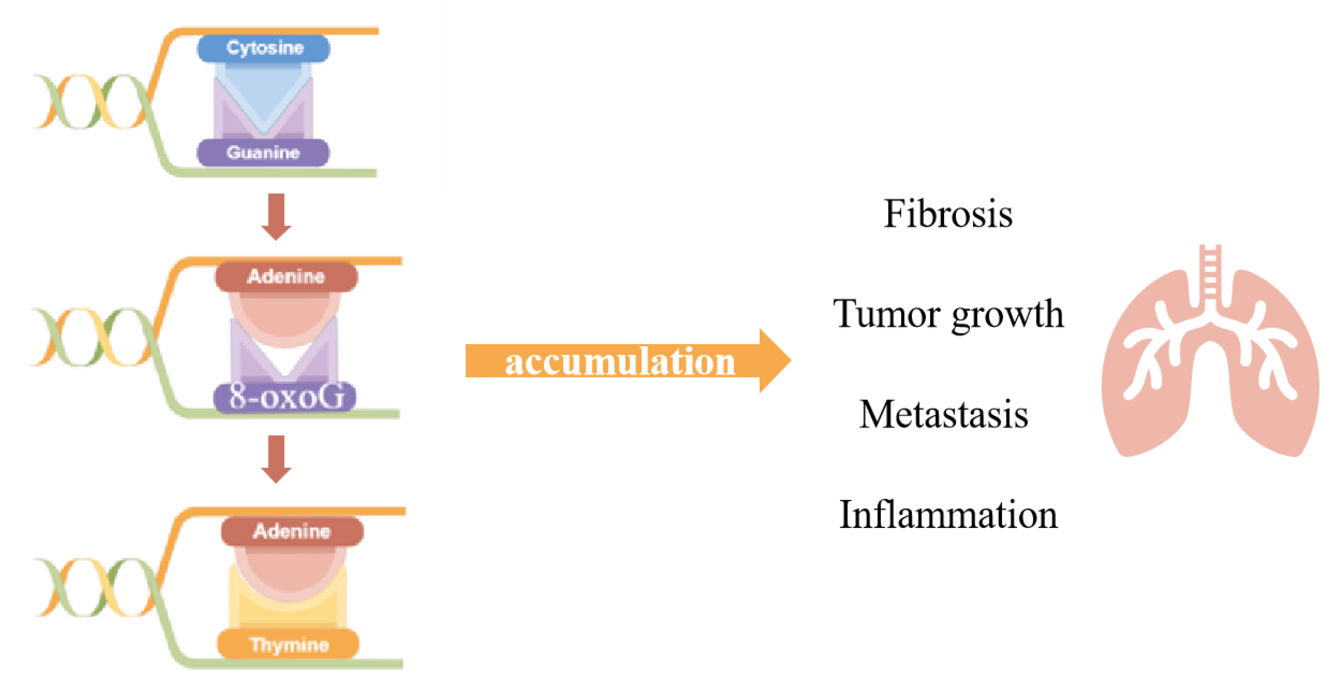 Antioxidants 11 00933 g001