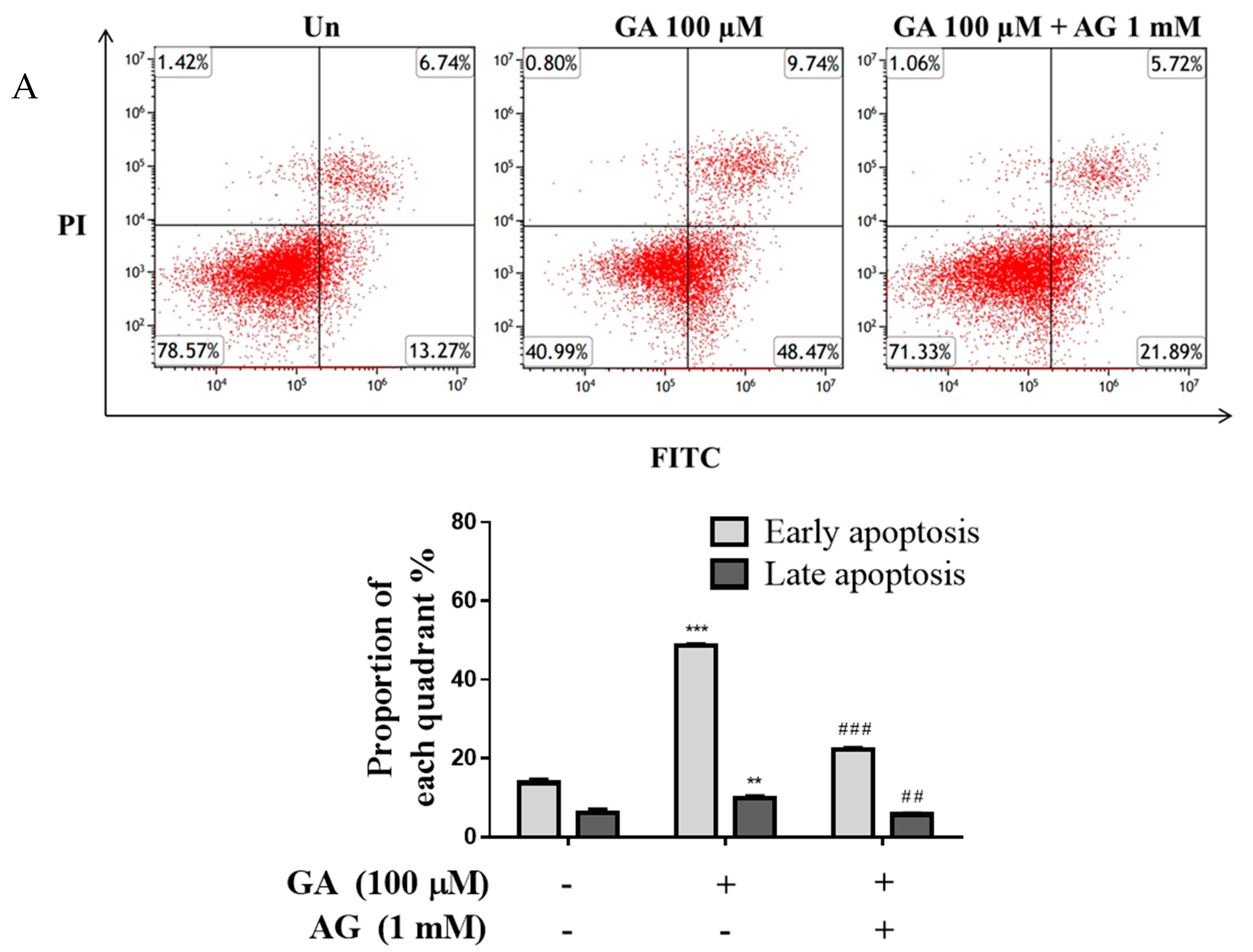 Antioxidants 11 00934 g003a Antioxidants 11 00934 g003a