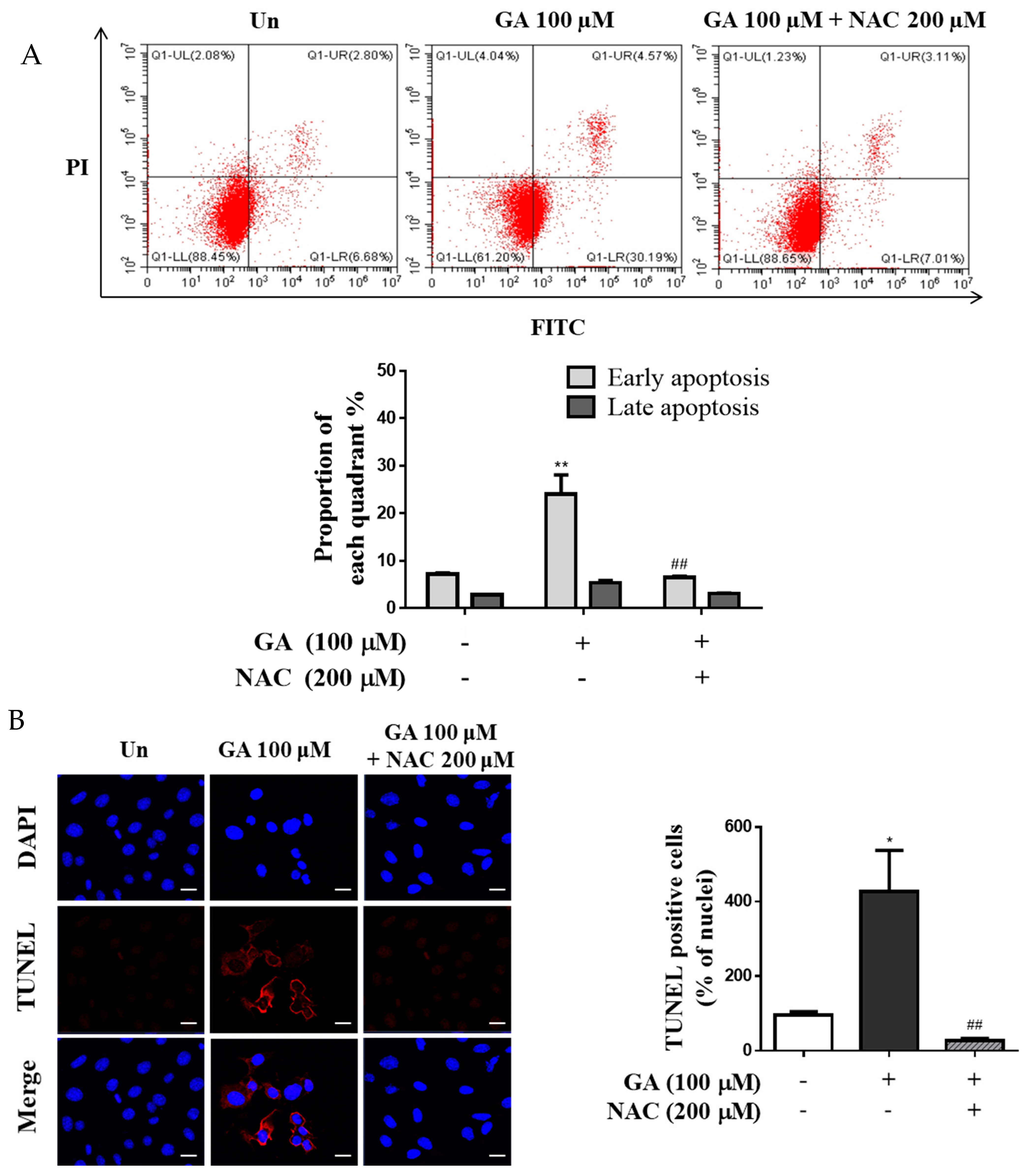 Antioxidants 11 00934 g005a Antioxidants 11 00934 g005a