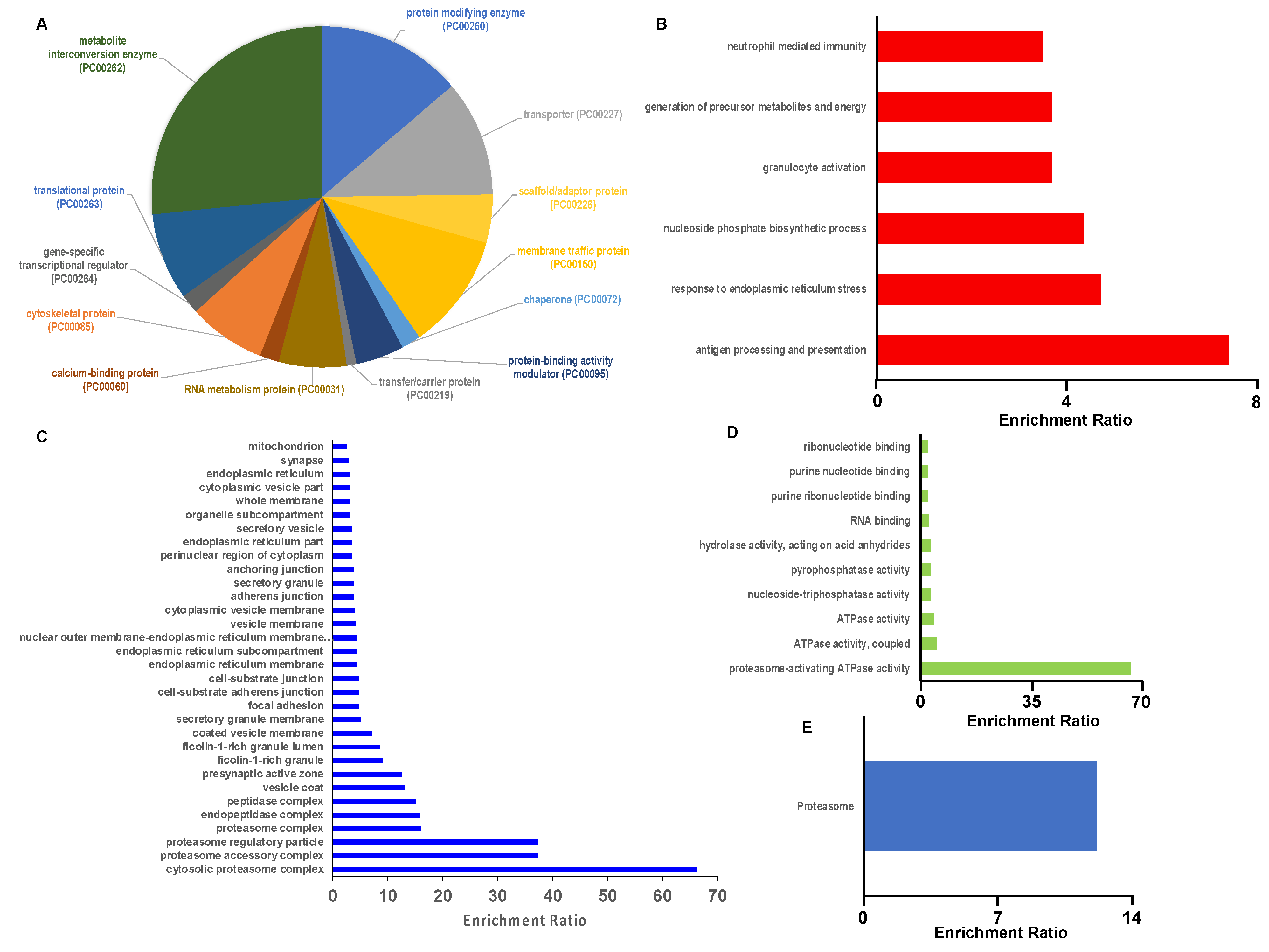 Antioxidants 11 00940 g008 Antioxidants 11 00940 g008