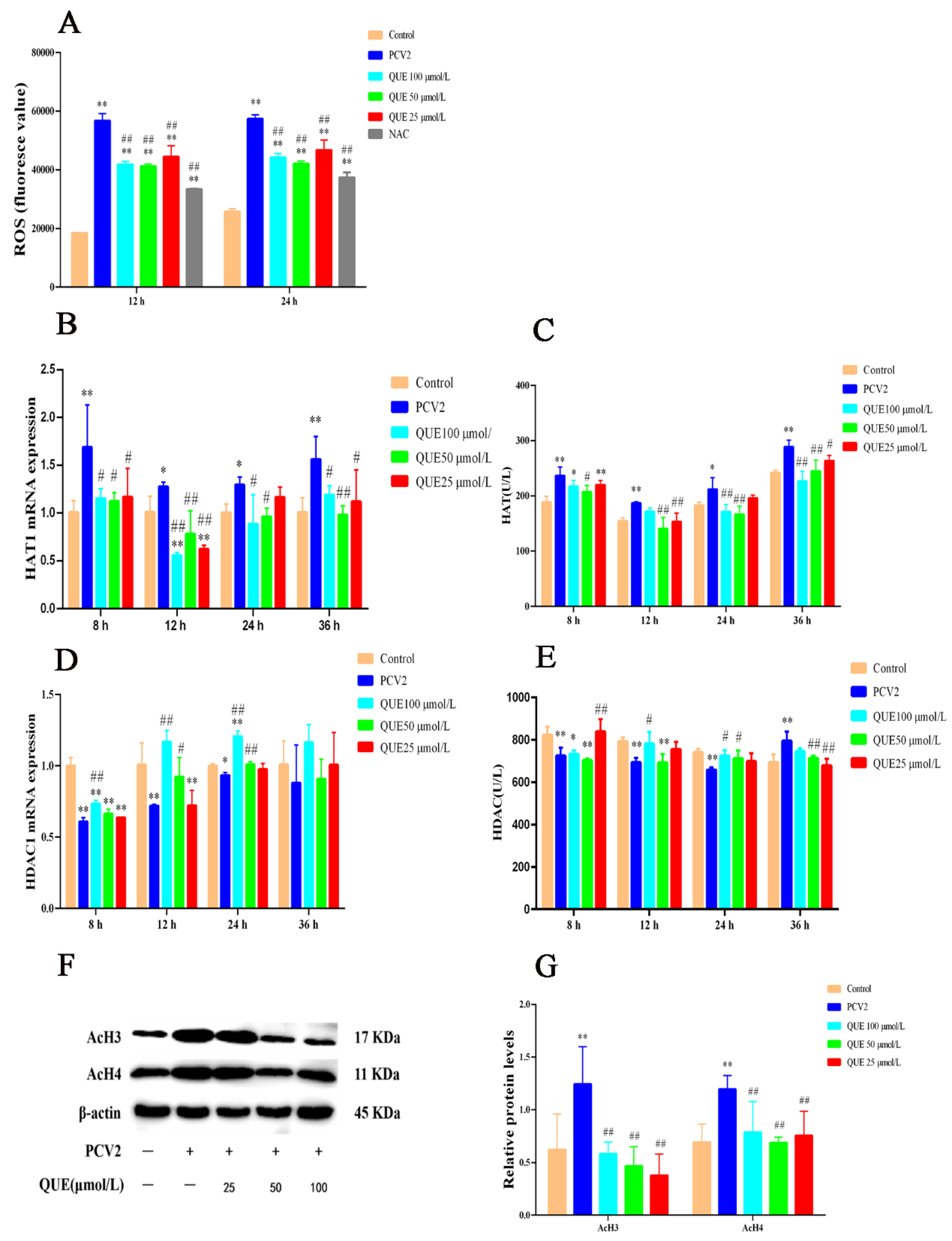 Antioxidants 11 00941 g002