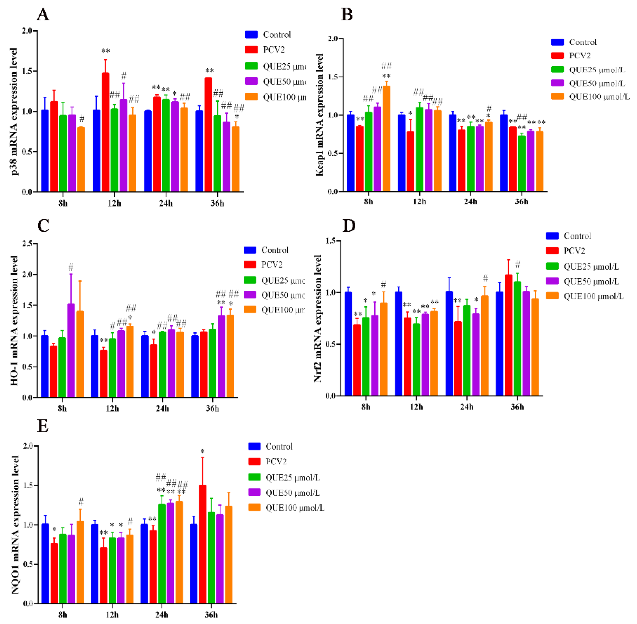Antioxidants 11 00941 g005