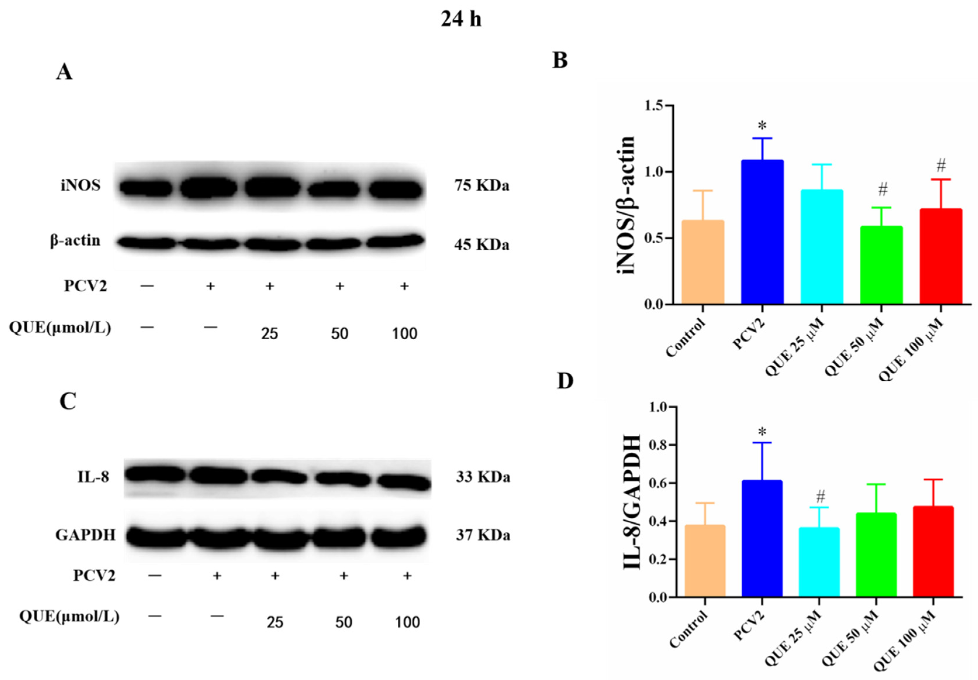 Antioxidants 11 00941 g006