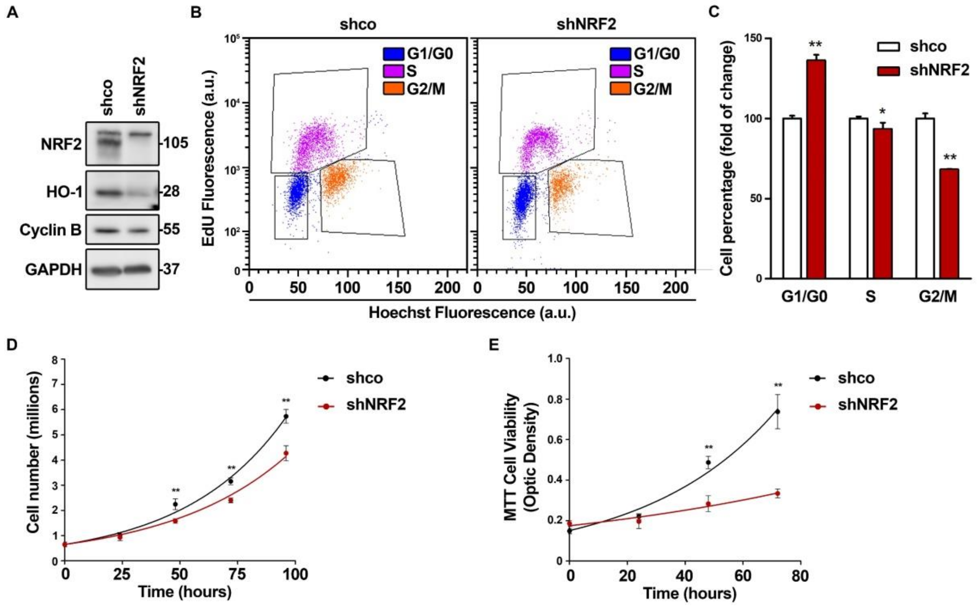 Antioxidants 11 00946 g001