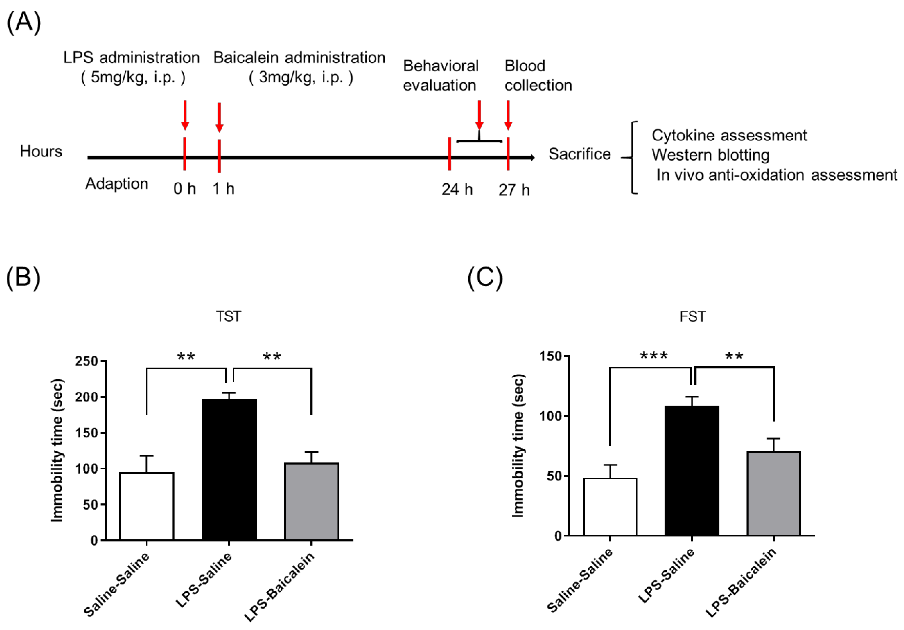 Antioxidants 11 00947 g003 550