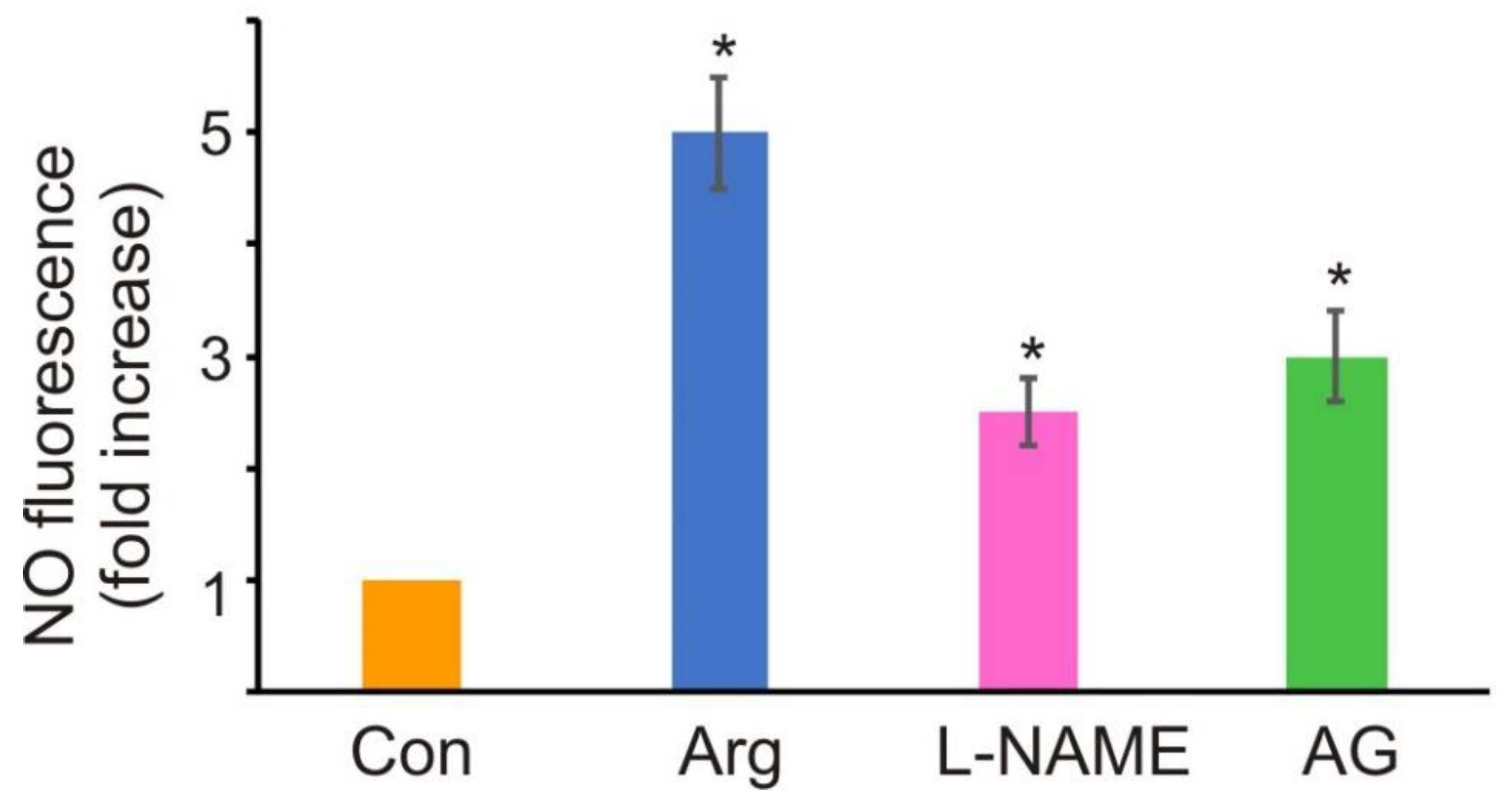 Antioxidants 11 00949 g003 Antioxidants 11 00949 g003