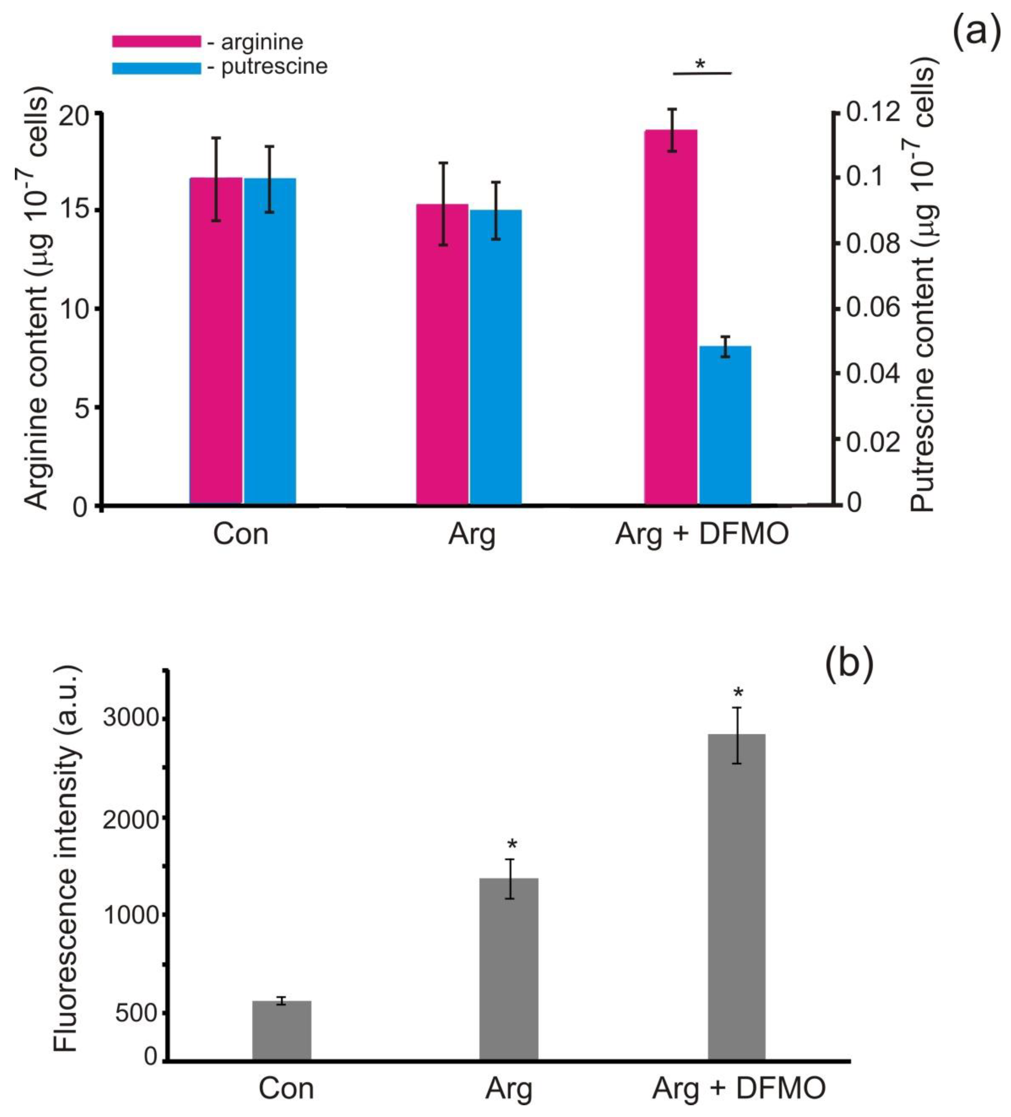 Antioxidants 11 00949 g004 Antioxidants 11 00949 g004