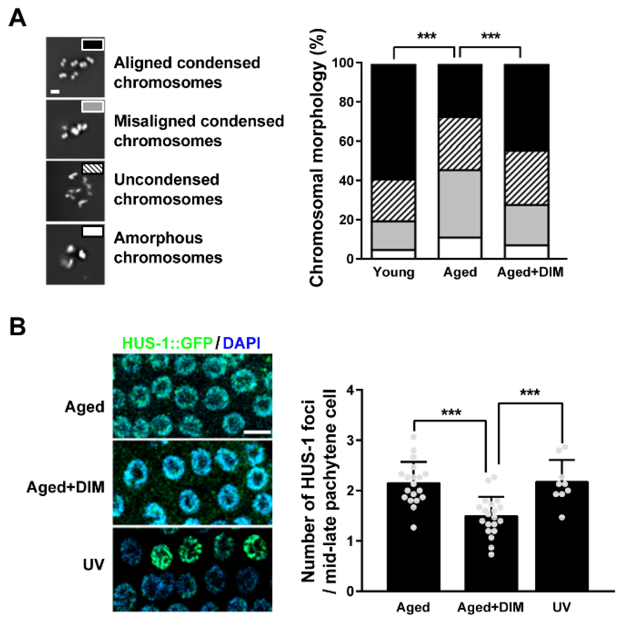 Antioxidants 11 00950 g004 Antioxidants 11 00950 g004