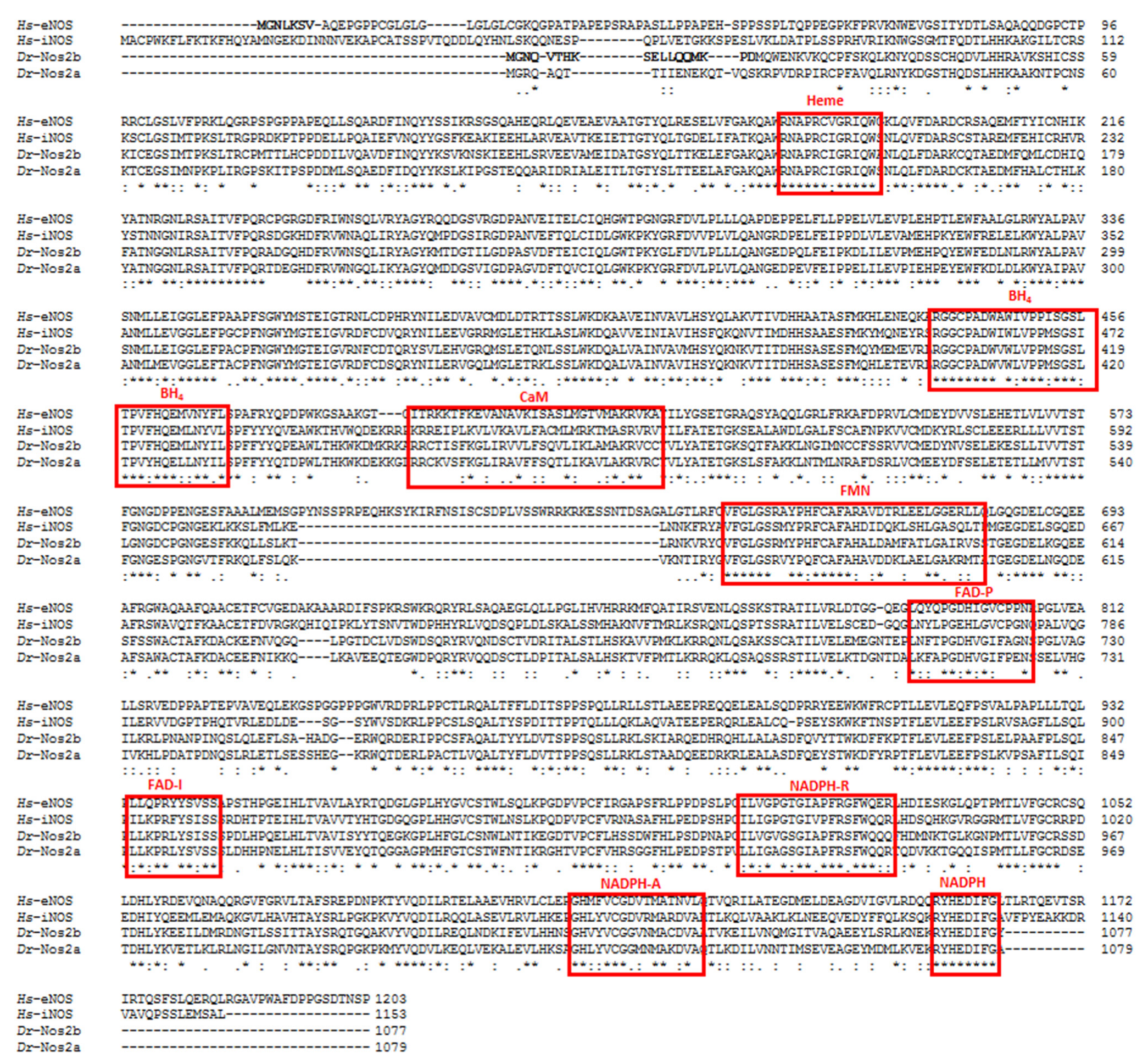 Antioxidants 11 00957 g002