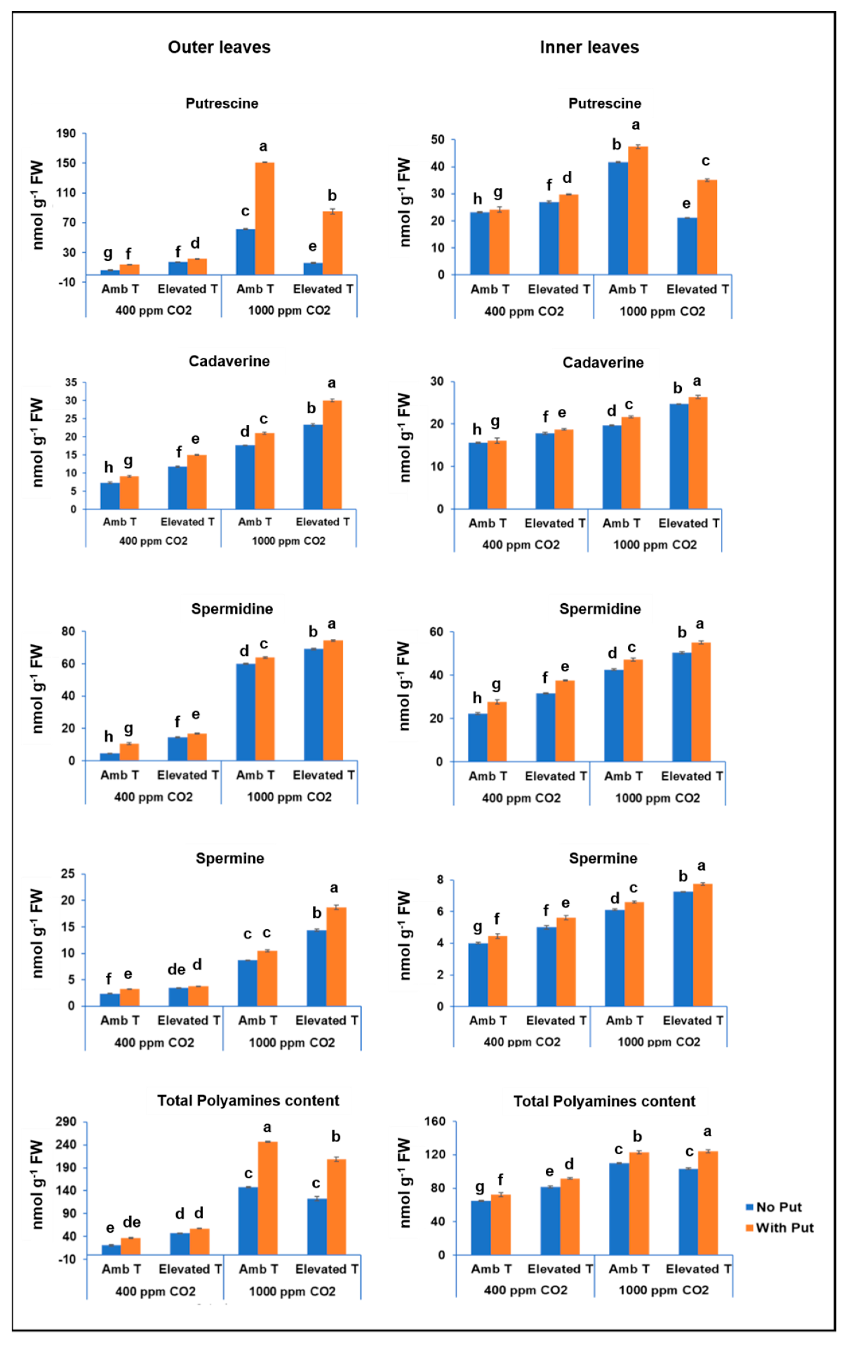 Antioxidants 11 00958 g005