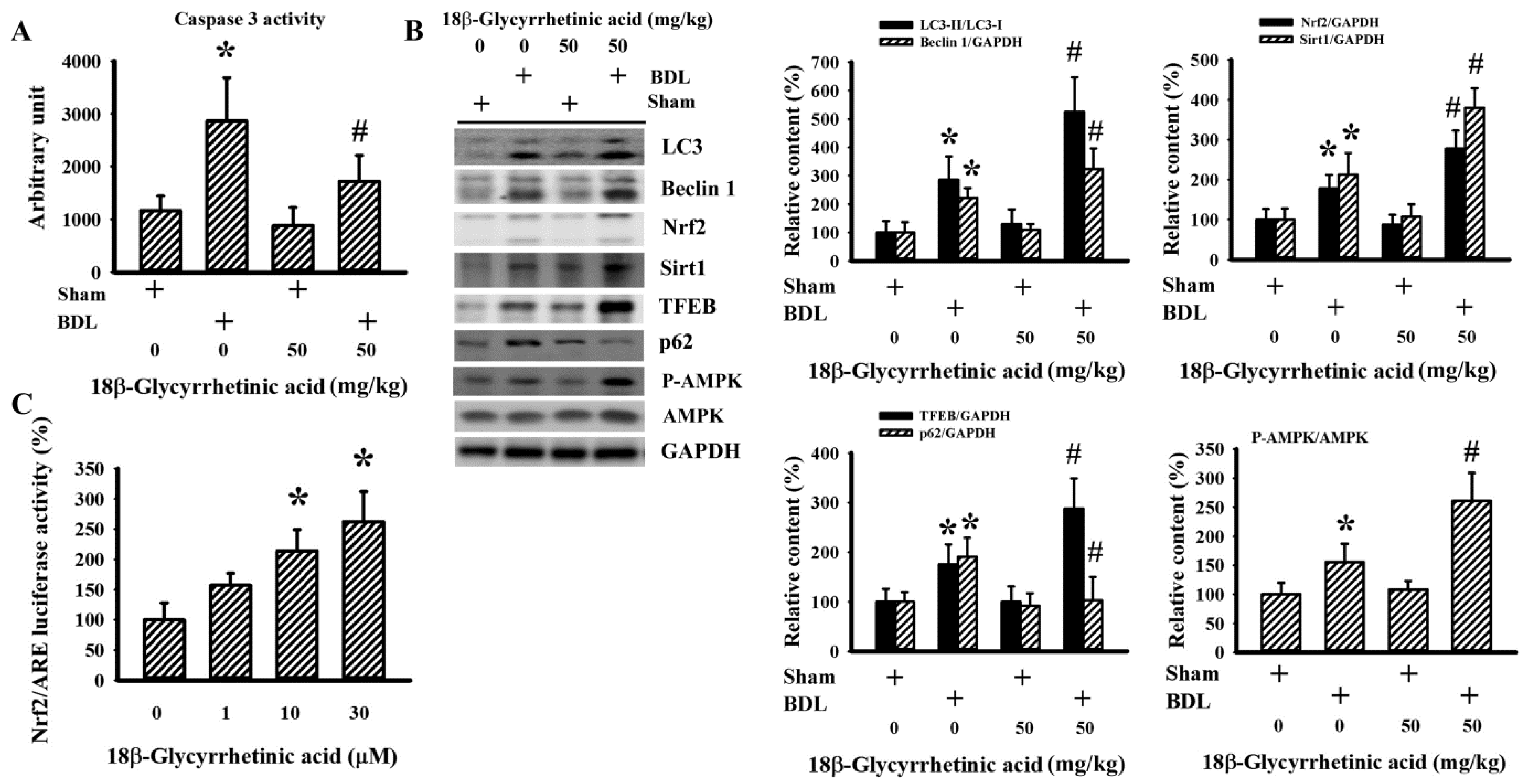 Antioxidants 11 00961 g010 550