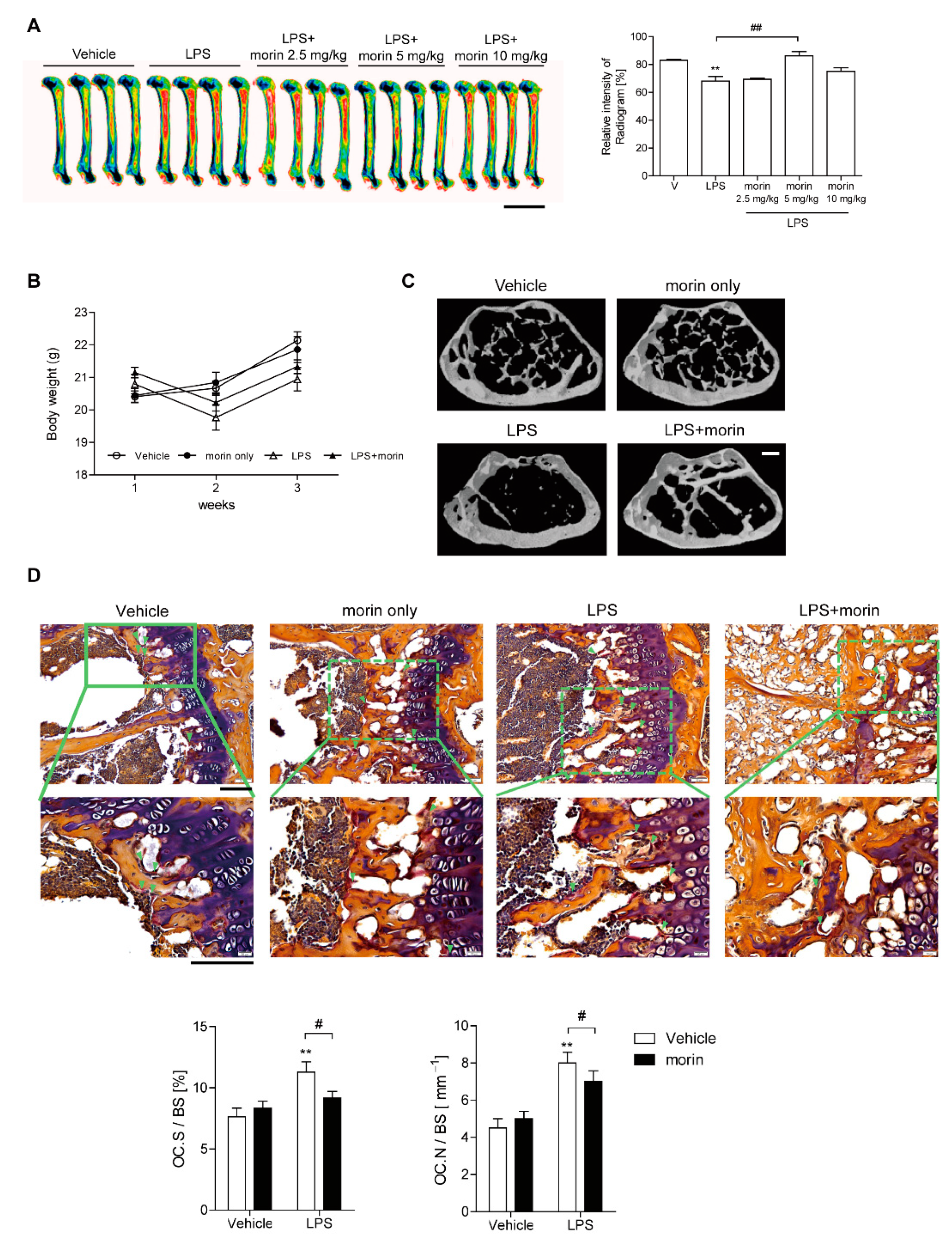 Antioxidants 11 00963 g001 550