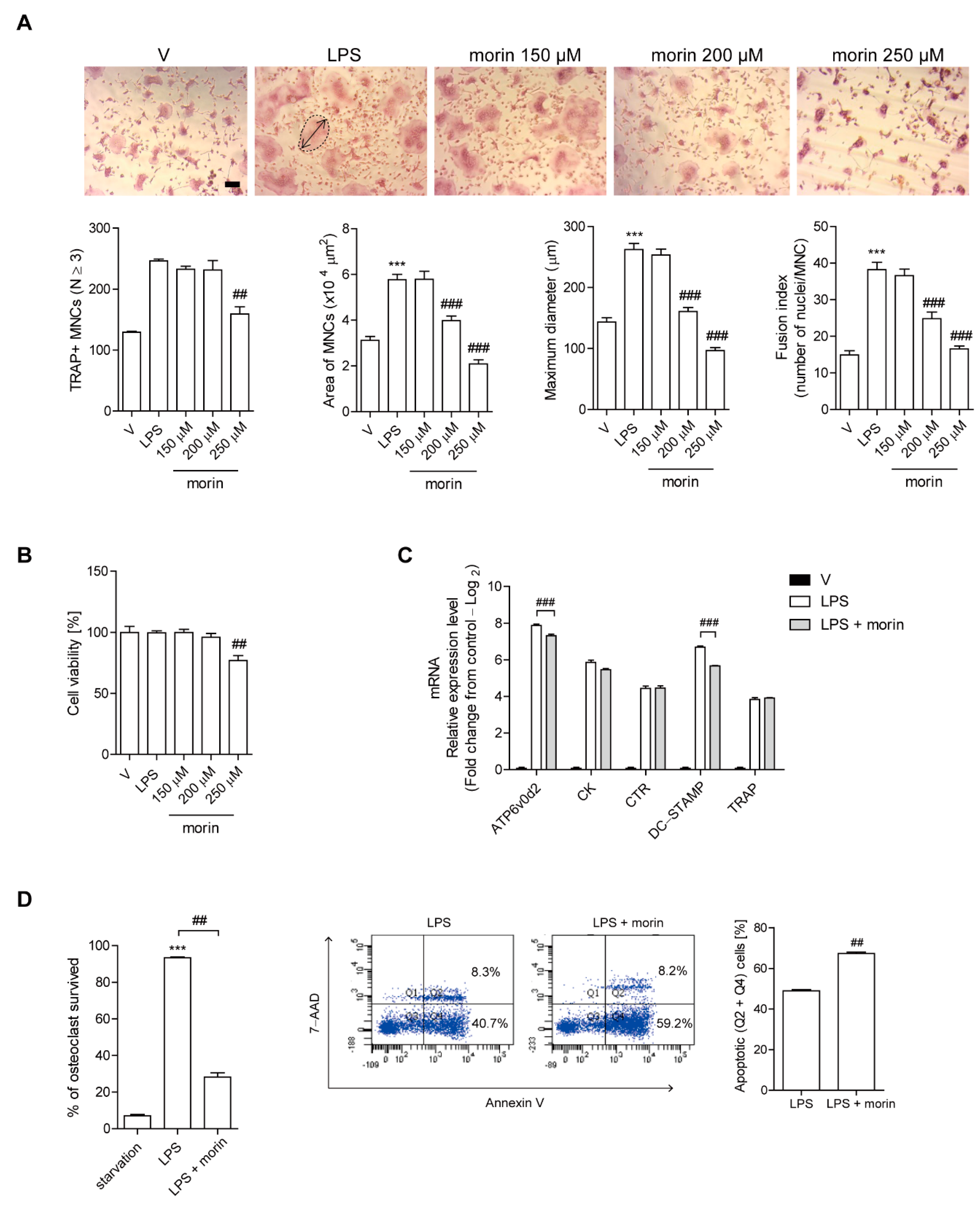 Antioxidants 11 00963 g002 550