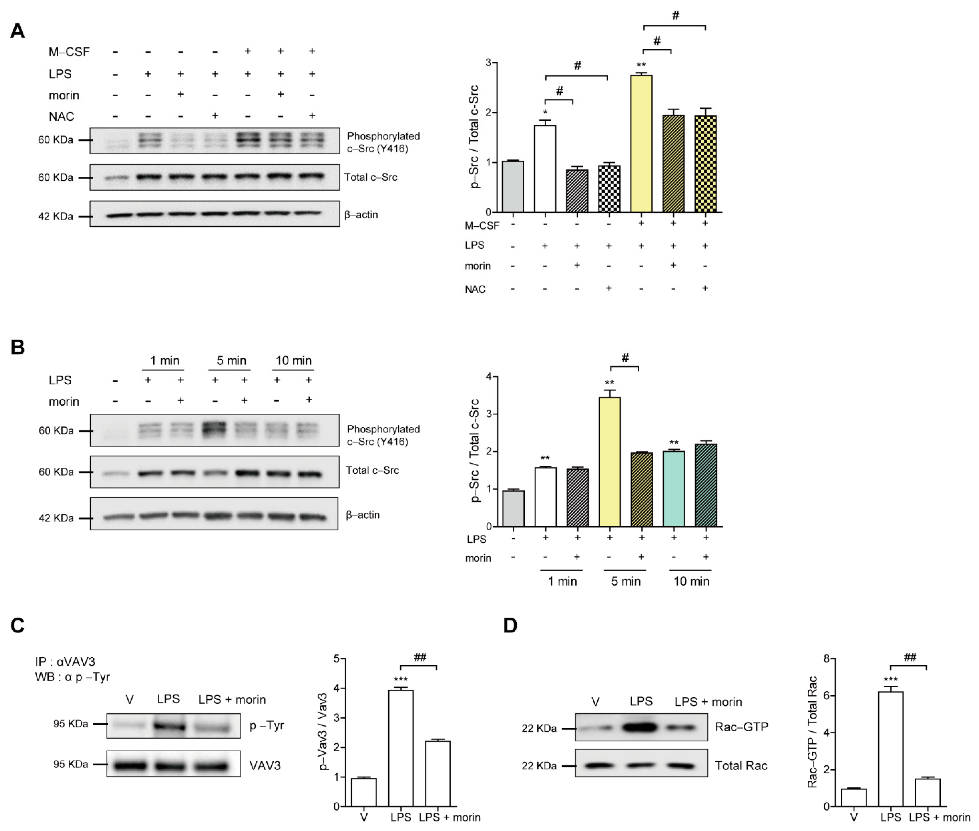 Antioxidants 11 00963 g004 550