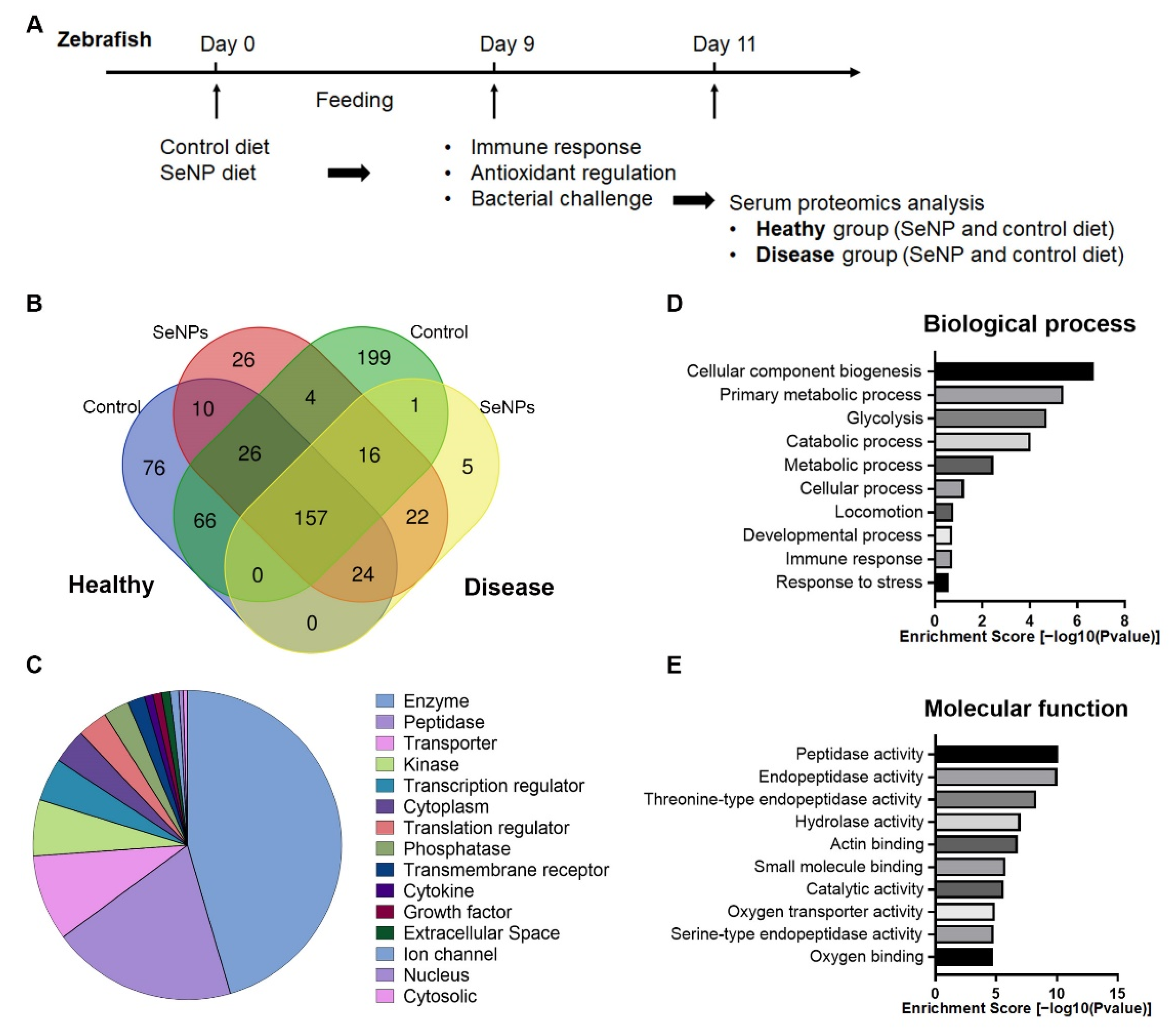 Antioxidants 11 00964 g003